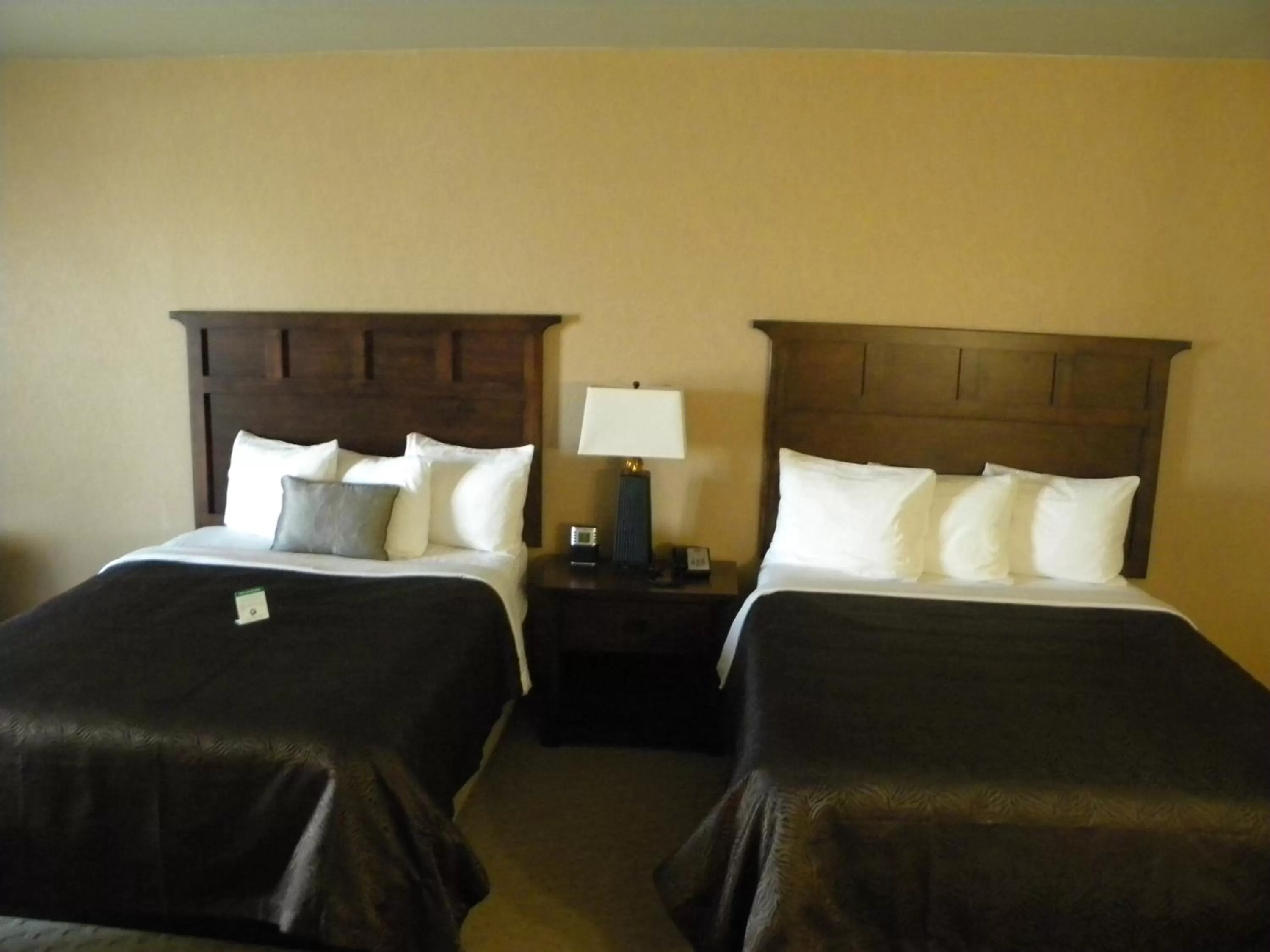 Standard Queen Room with Two Queen Beds in Teddy's Residential Suites Watford City