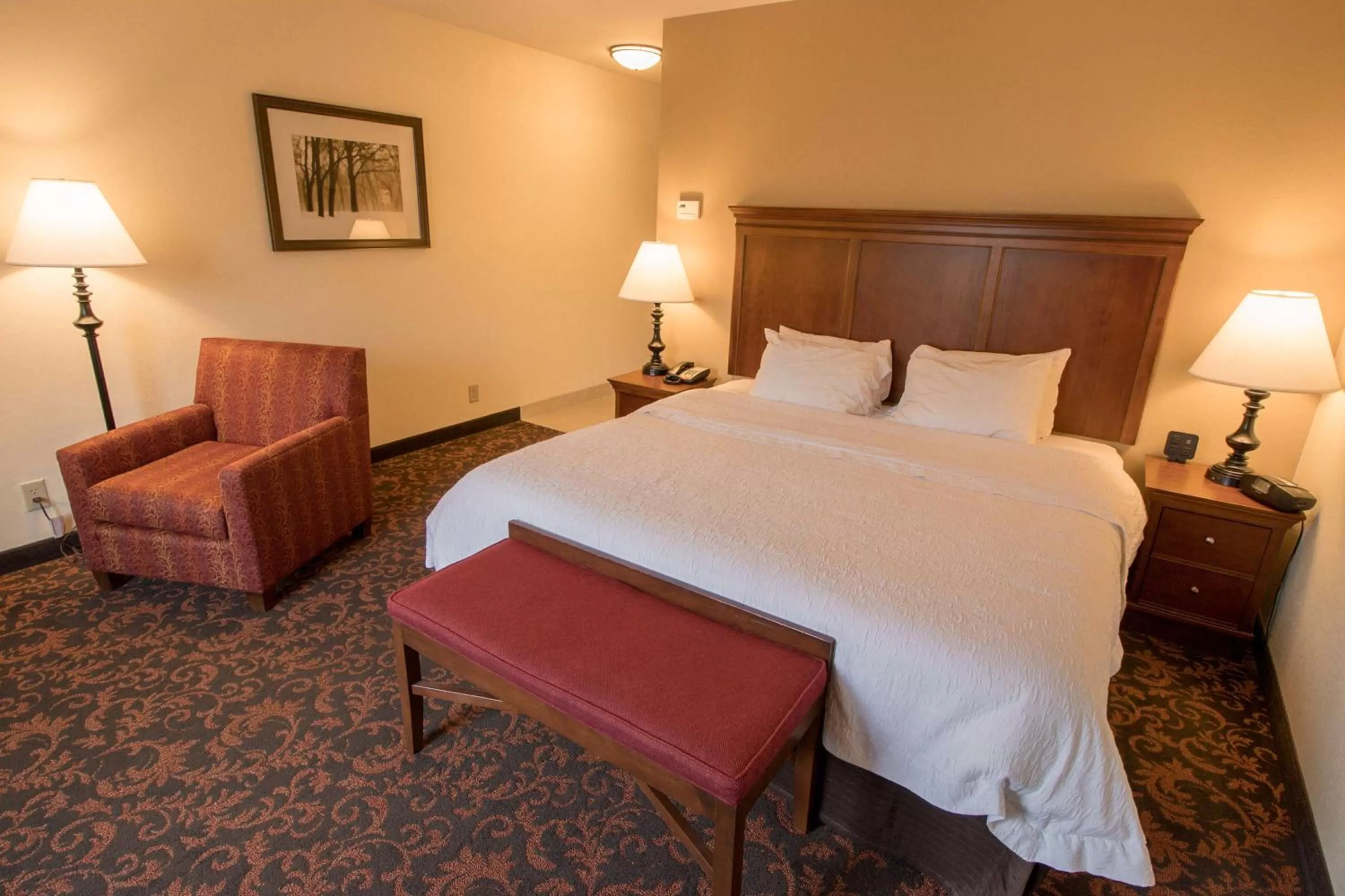 King Room with King Bed - Non-Smoking in Hampton Inn Lincolnton