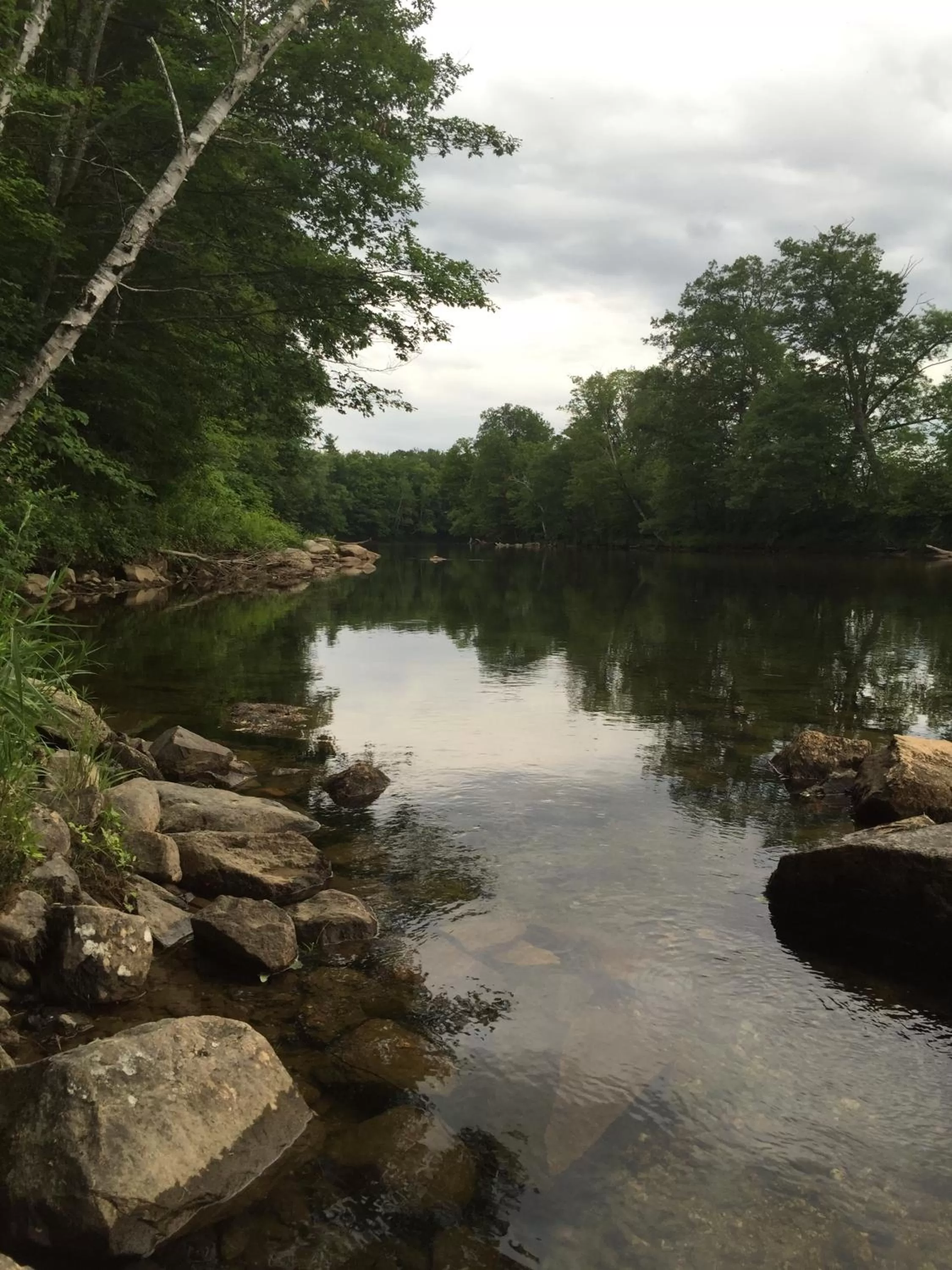 Standard Room with Two Beds in Merrill Farm Inn