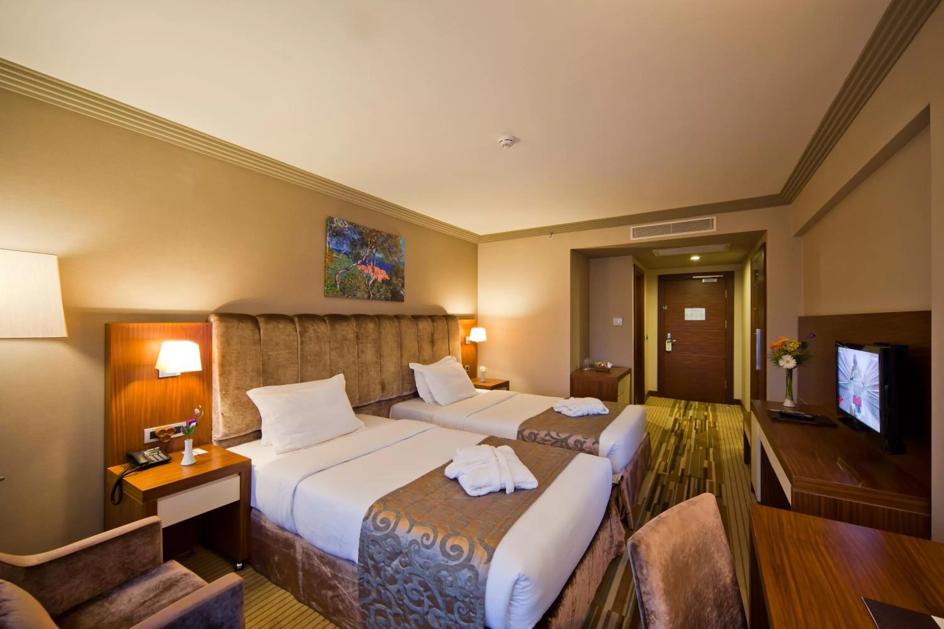 Superior Room in Volley Hotel Istanbul