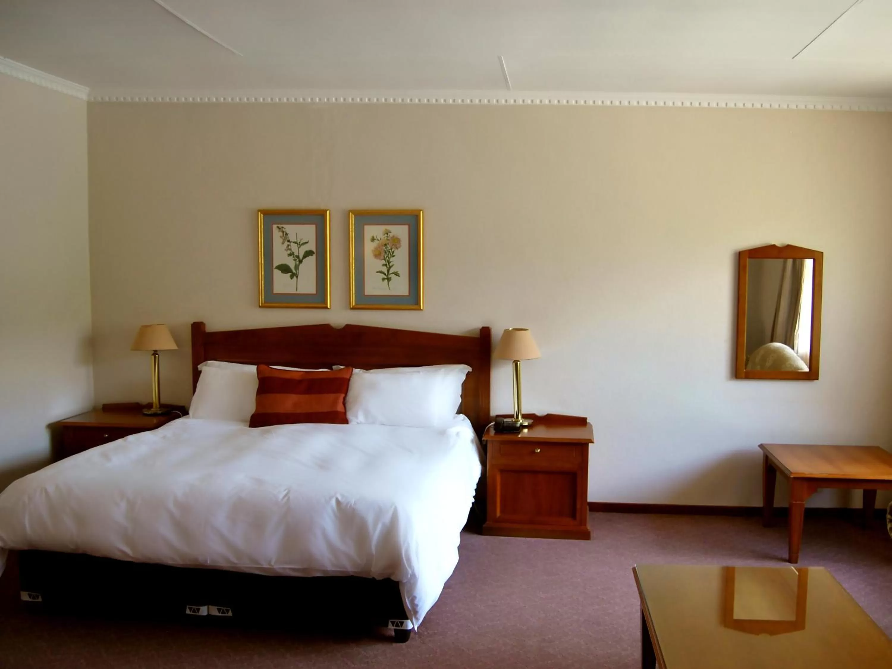 Standard Junior Suite - single occupancy in Safari Hotel & Convention Centre