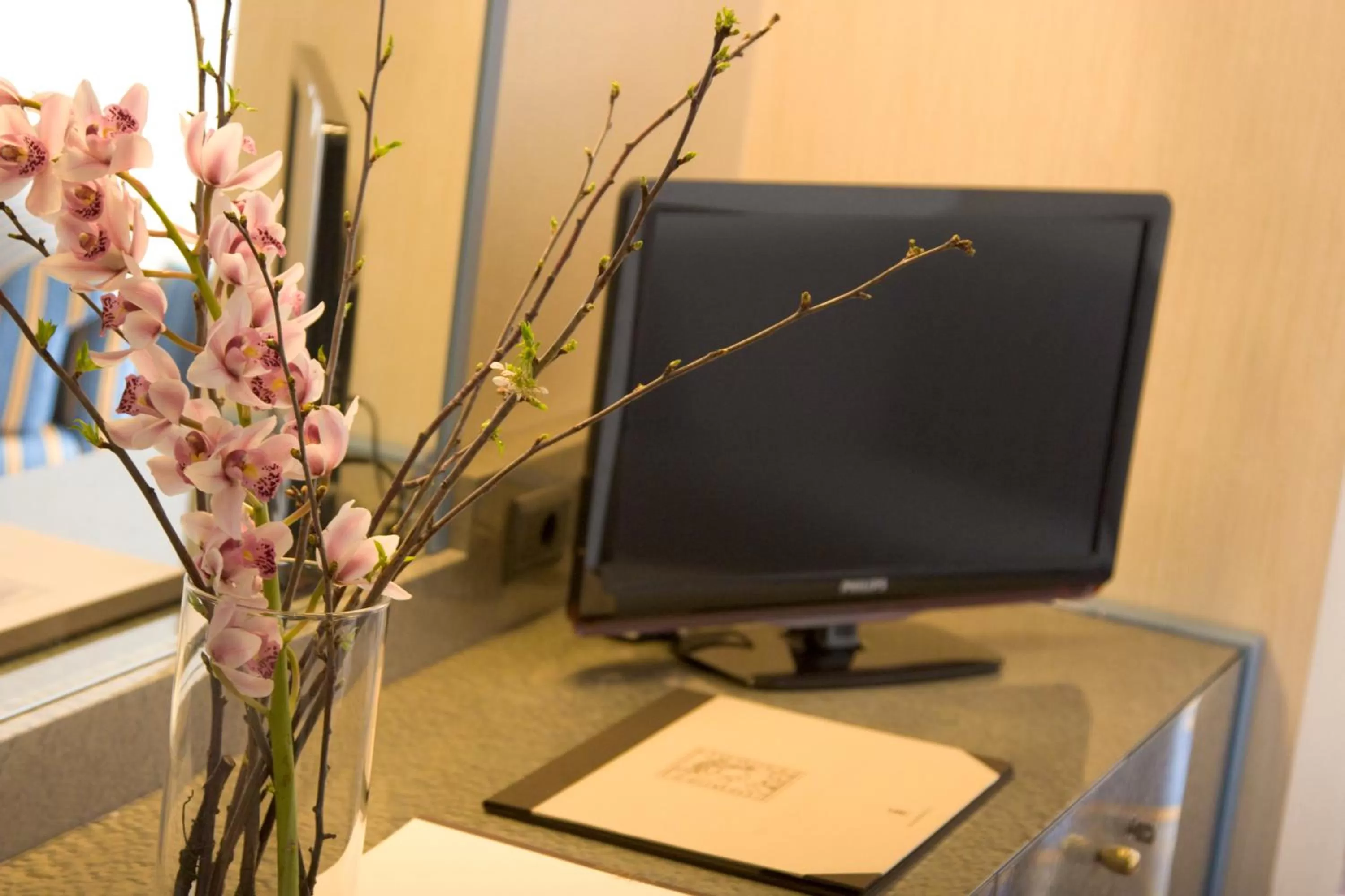 Business Double or Twin Room - single occupancy in Hotel Federico II