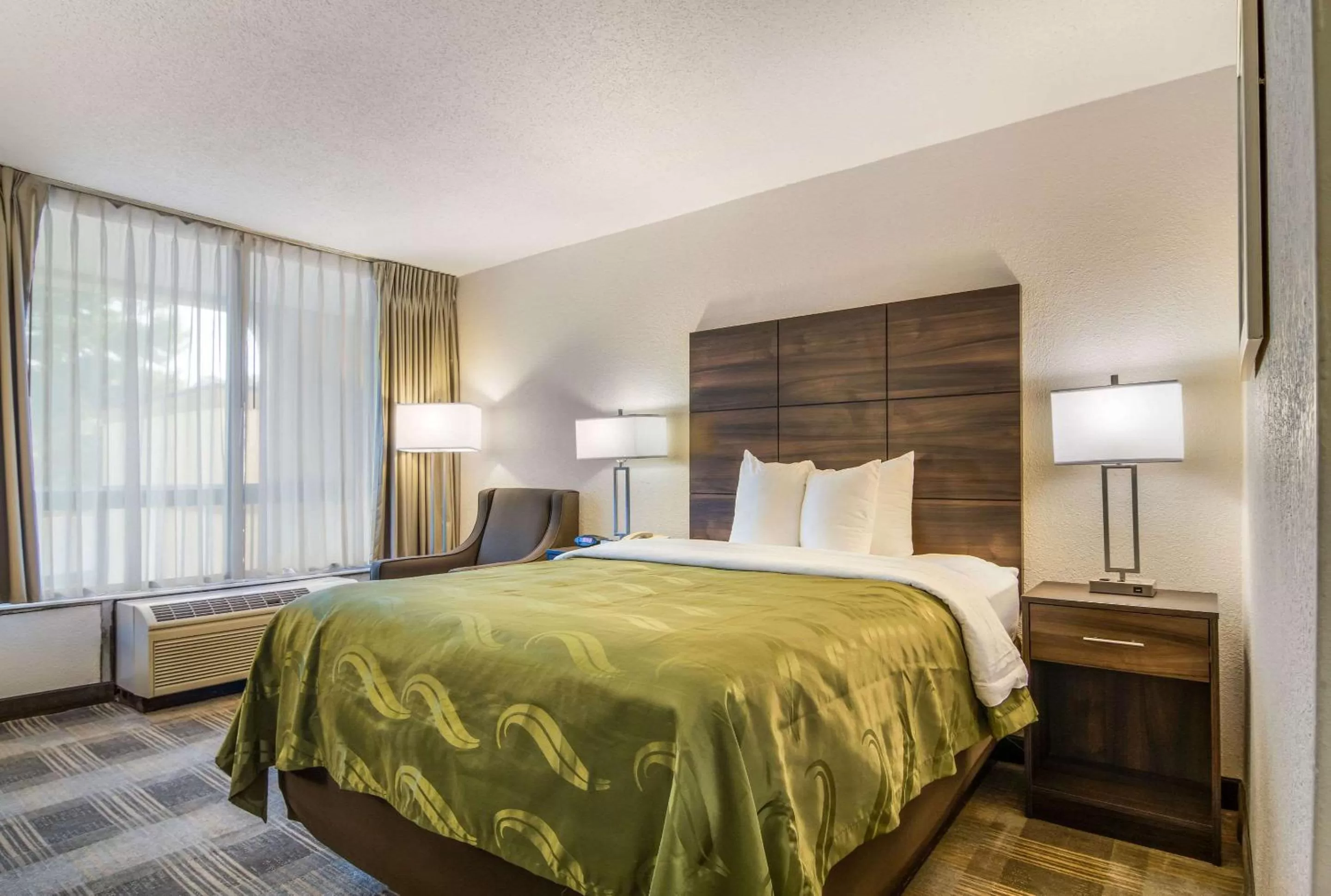 Queen Room in Quality Inn Suwanee I-85