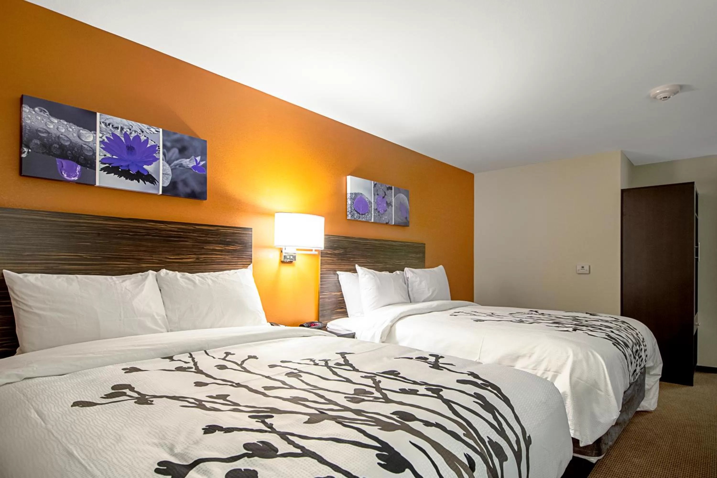Queen Room with Two Queen Beds - Non-Smoking in Sleep Inn Geismar - Gonzales