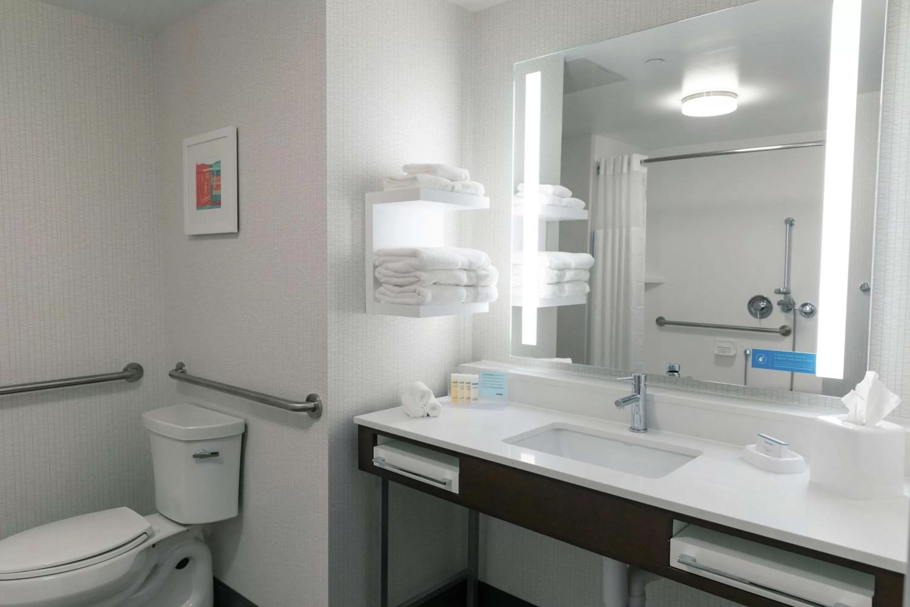 King Room - Mobility/Hearing Accessible - Non-Smoking in Hampton Inn Black Mountain