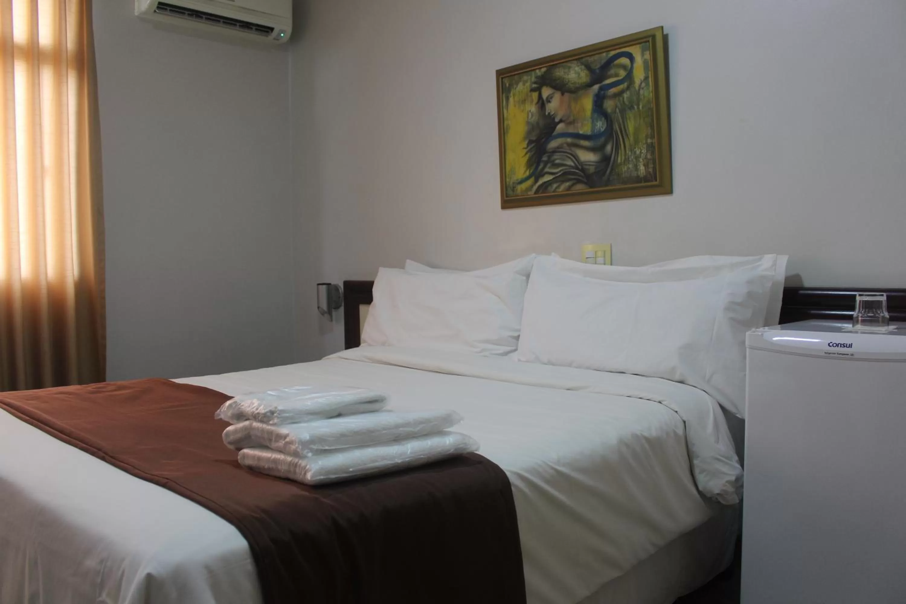 Large Double or Twin Room in Hotel Oscar Econômico Montes Claros