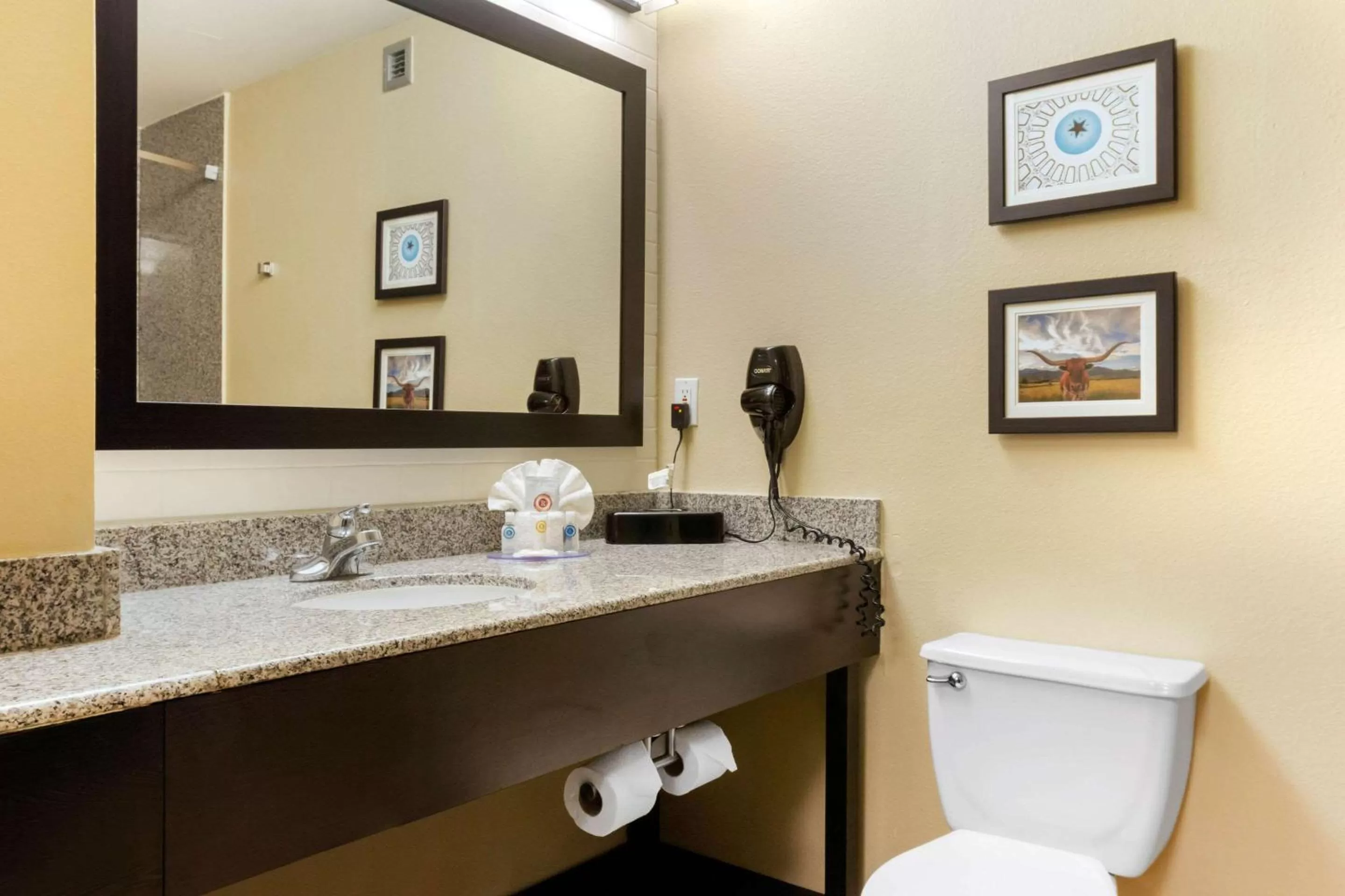 King Suite with Sofa Bed - Non-Smoking in Comfort Inn & Suites Amarillo