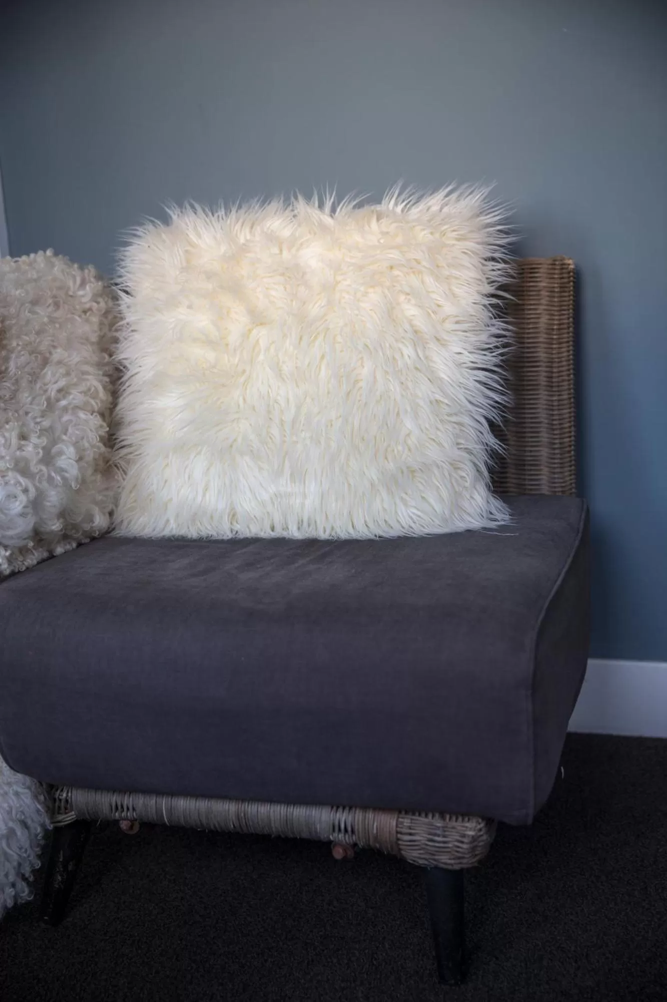 Small Comfort Twin Room in De Roos Leeuwarden Since 2006 Timeless Hospitality & Biodynamic Breakfast