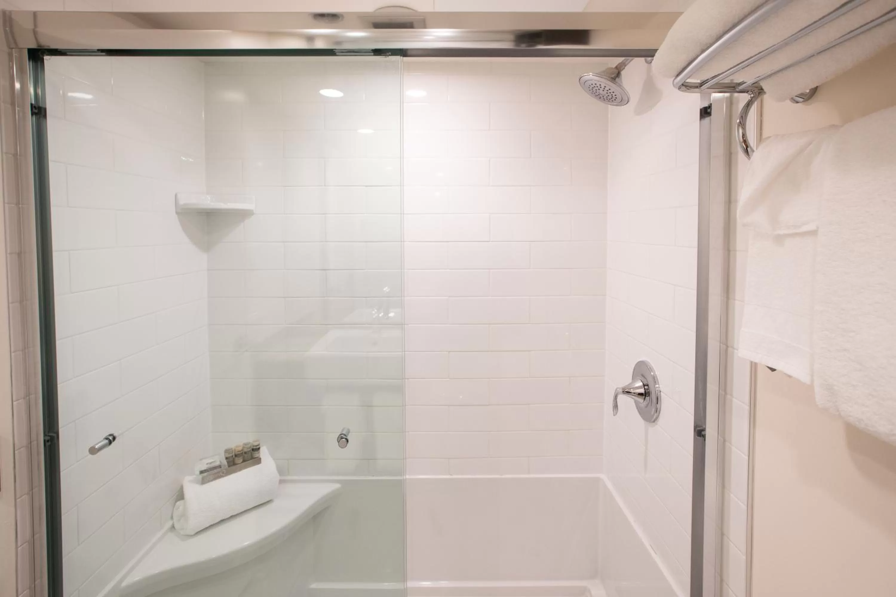 Bathroom in Chateau Jasper
