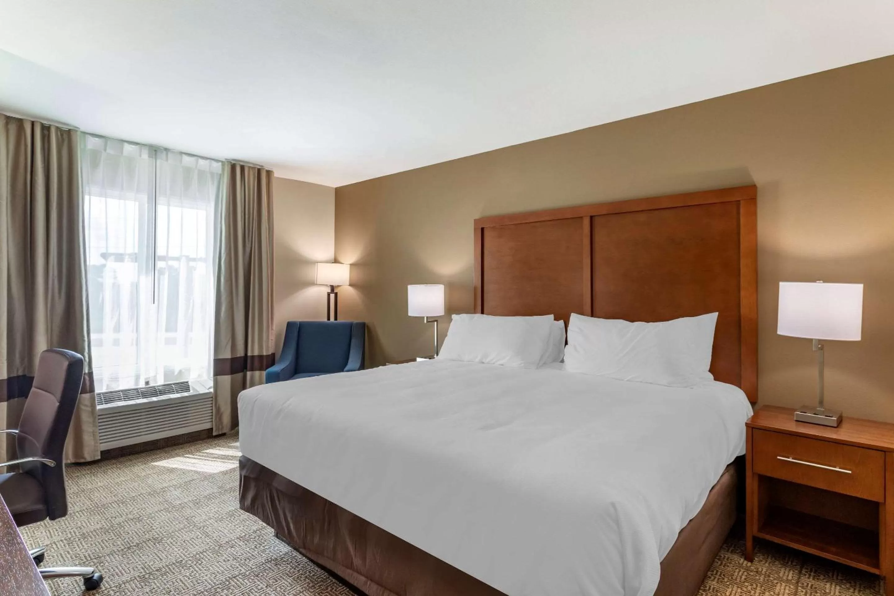 Standard King Room - Non-Smoking  in Comfort Inn & Suites Waller