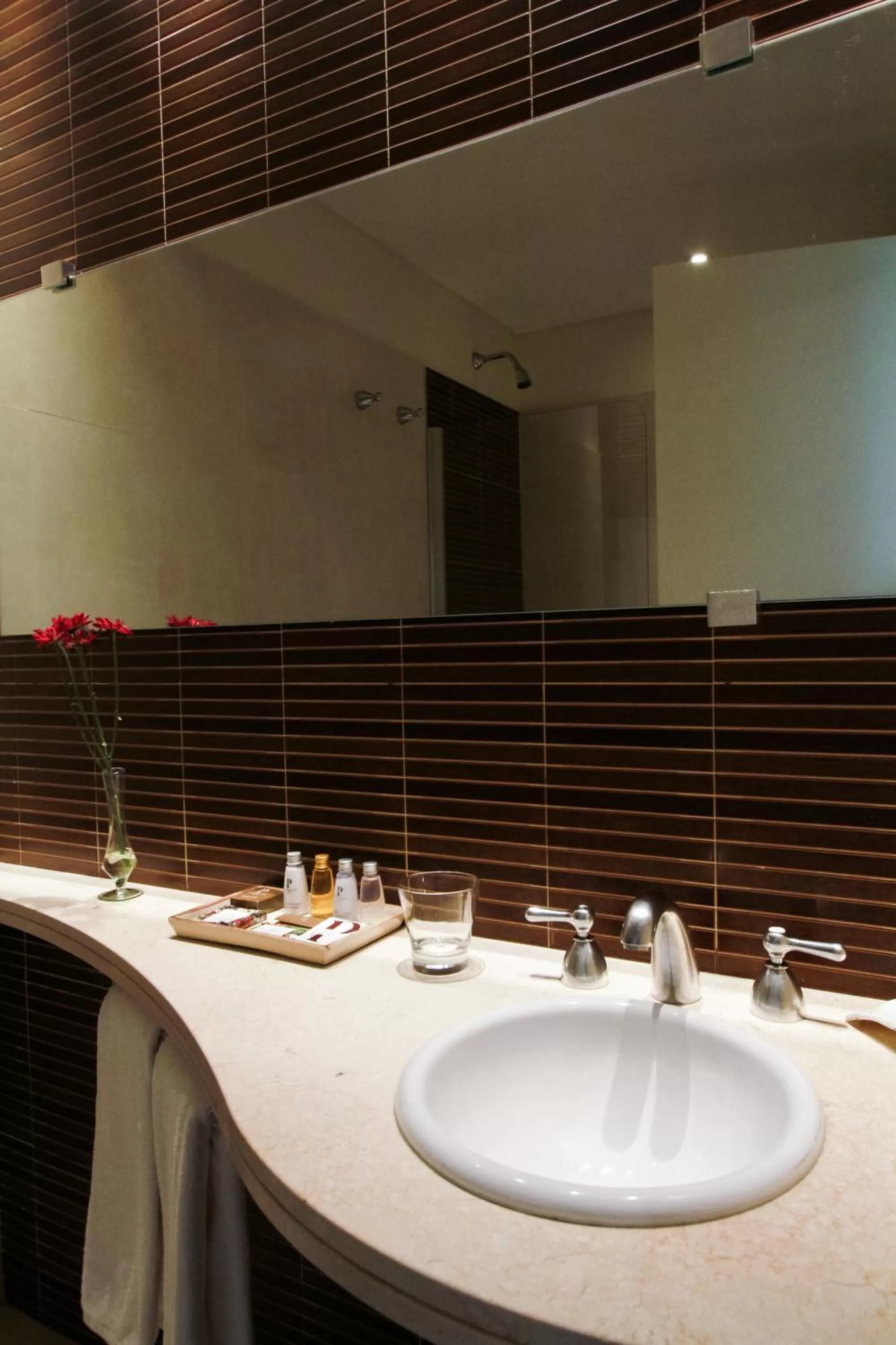 Classic Double or Twin Room in Panoramic Grand - Iguazú