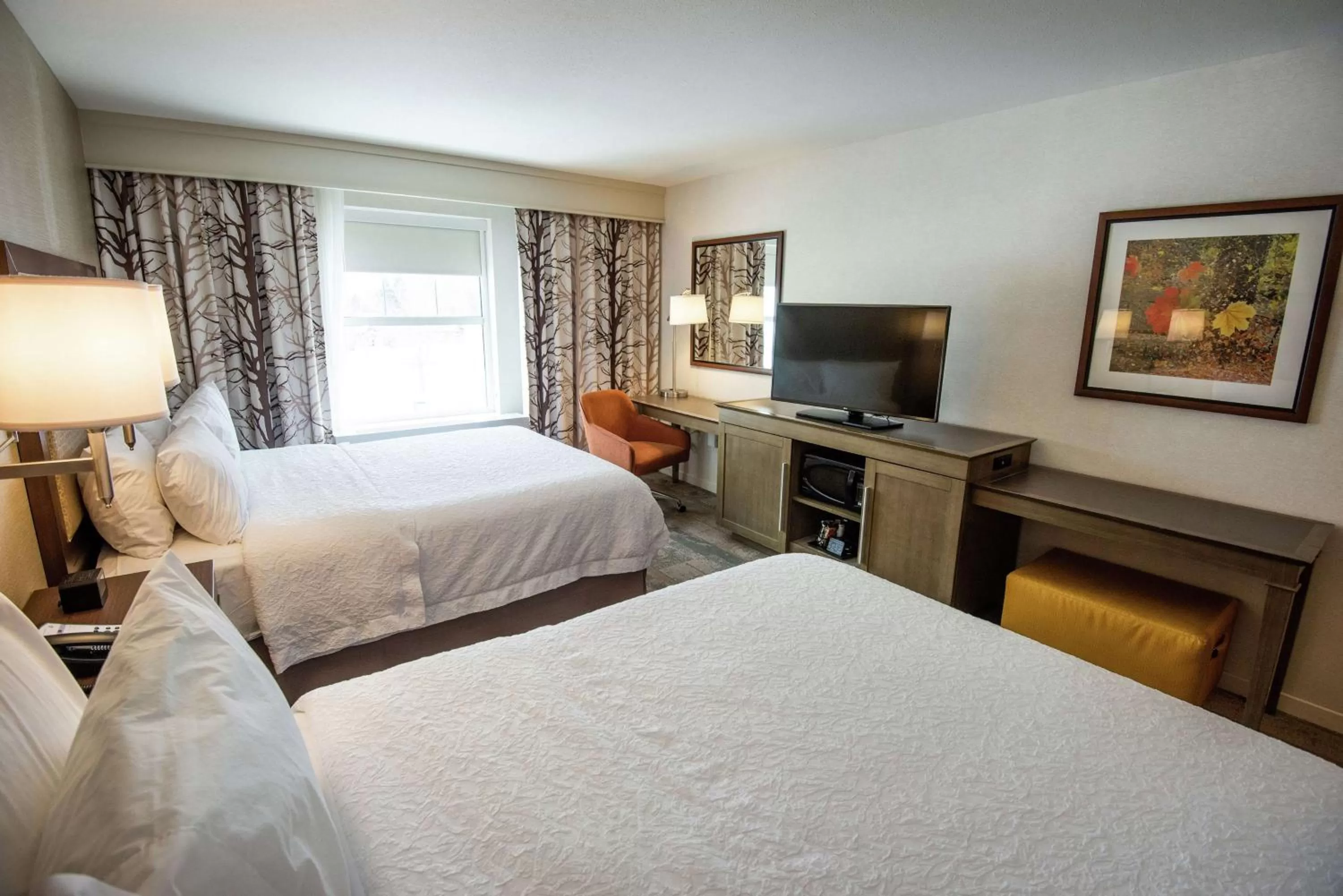 Queen Room with Two Queen Beds - Hearing Access/Non-Smoking in Hampton Inn & Suites Manchester, Vt