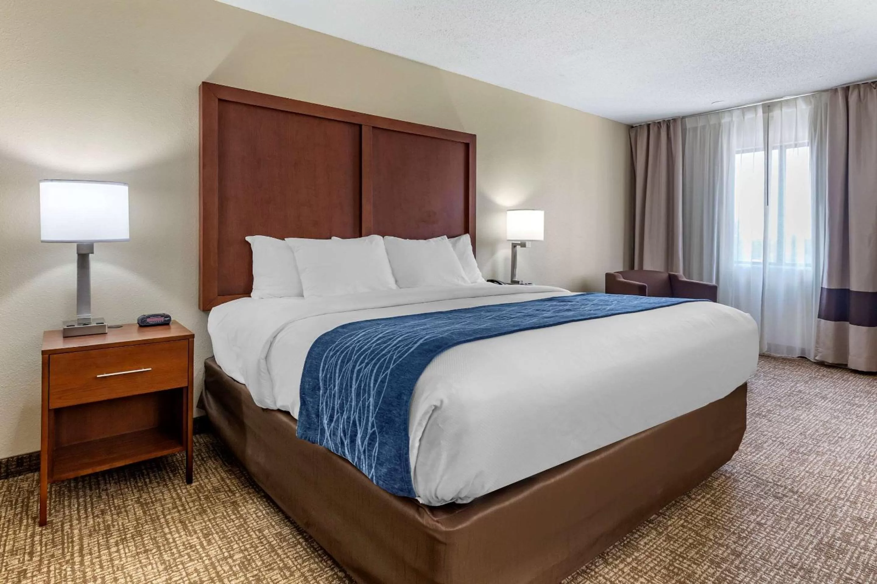 Standard King Room - Non Smoking in Comfort Inn & Suites Spring Lake - Fayetteville near Fort Bragg