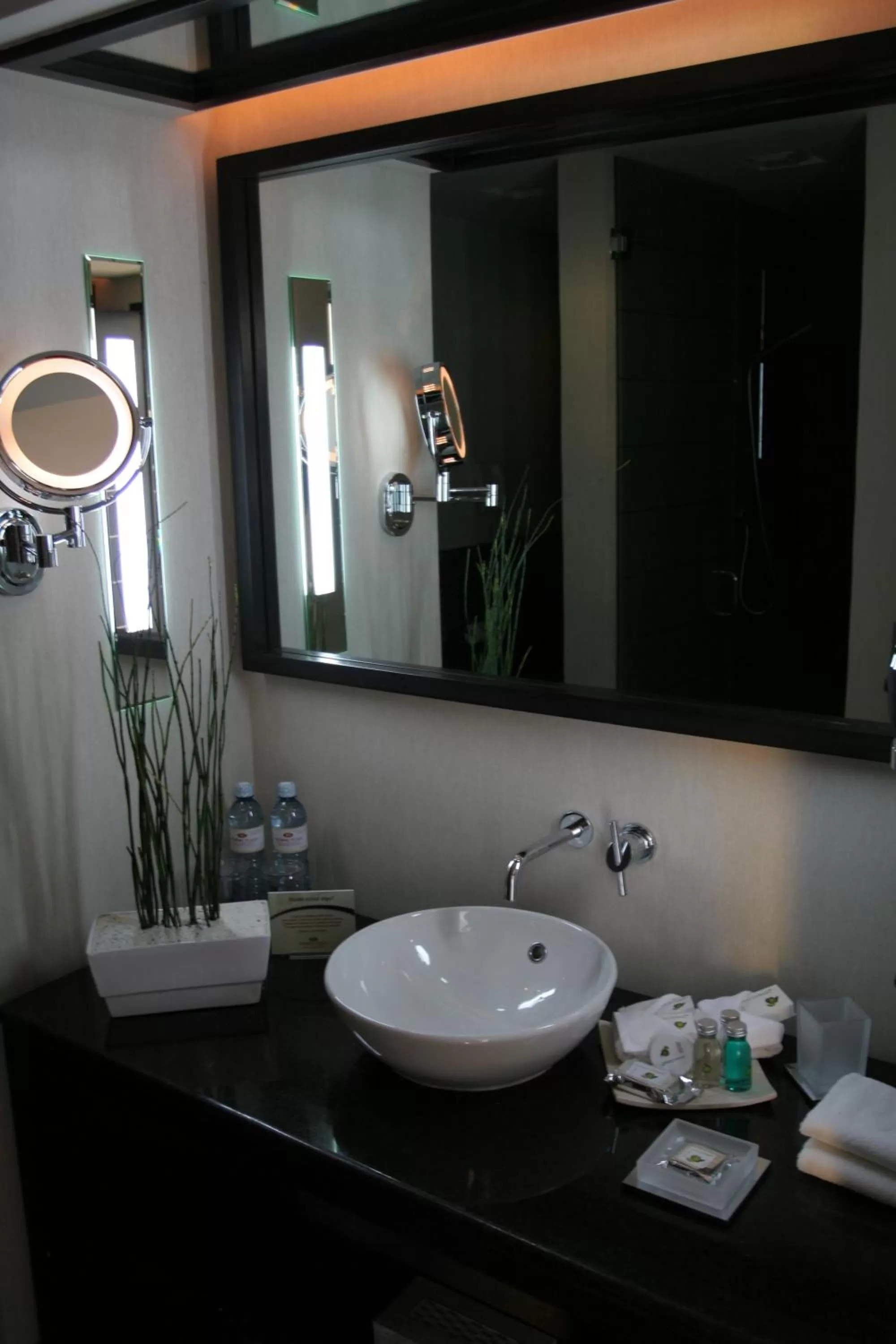 Superior Suite in Crowne Plaza Toluca - Lancaster by IHG
