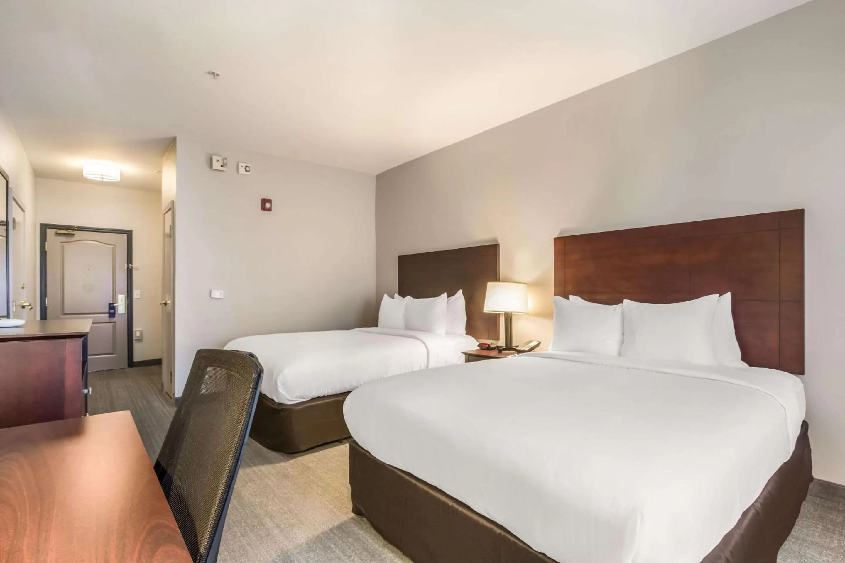 Standard Queen Room with Two Queen Beds - Non Smoking  in Comfort Inn & Suites Fairburn - Atlanta Southwest