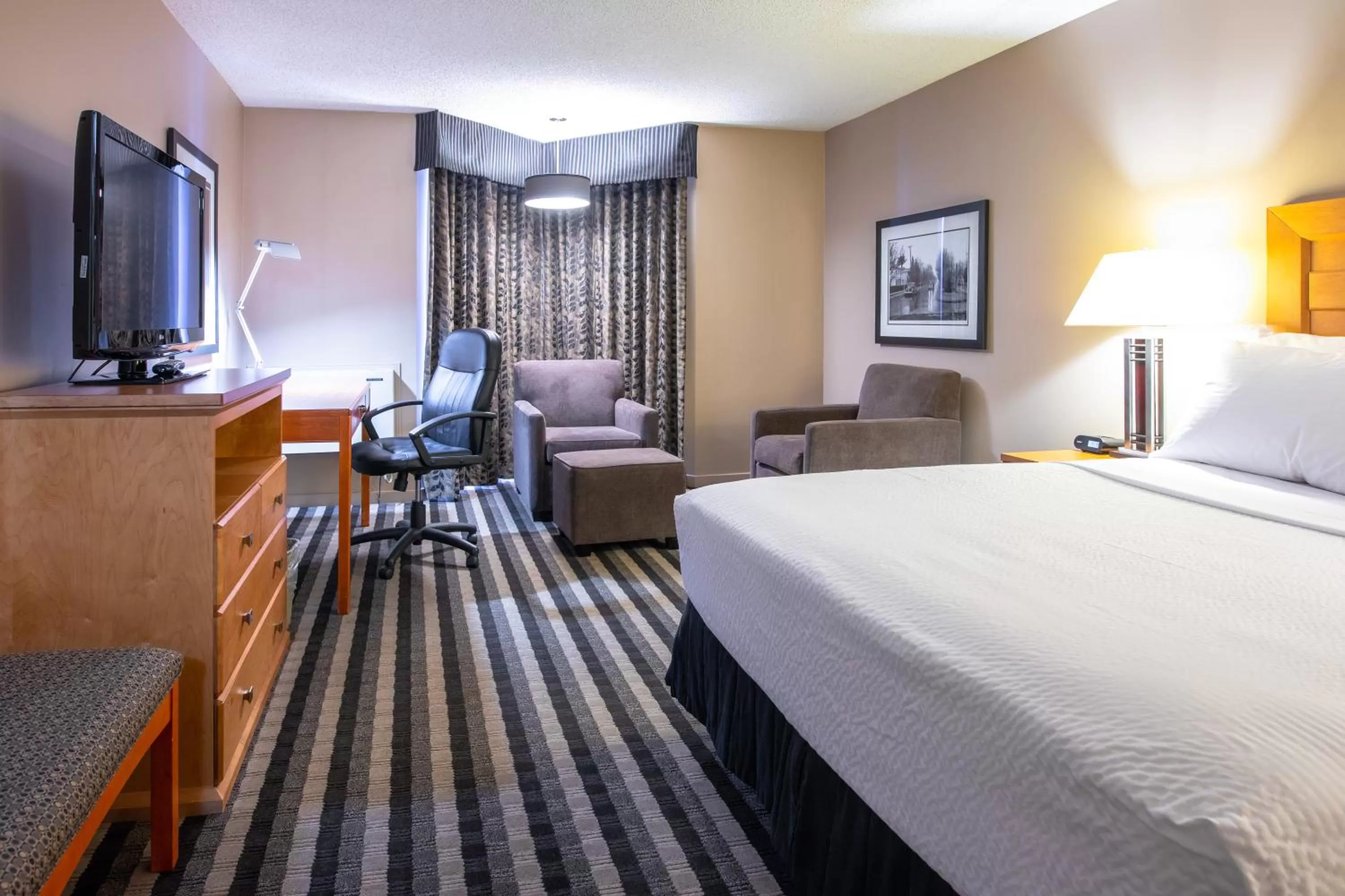 King Room - Pet Friendly/Non-Smoking in Royal Hotel West Edmonton, Trademark Collection by Wyndham