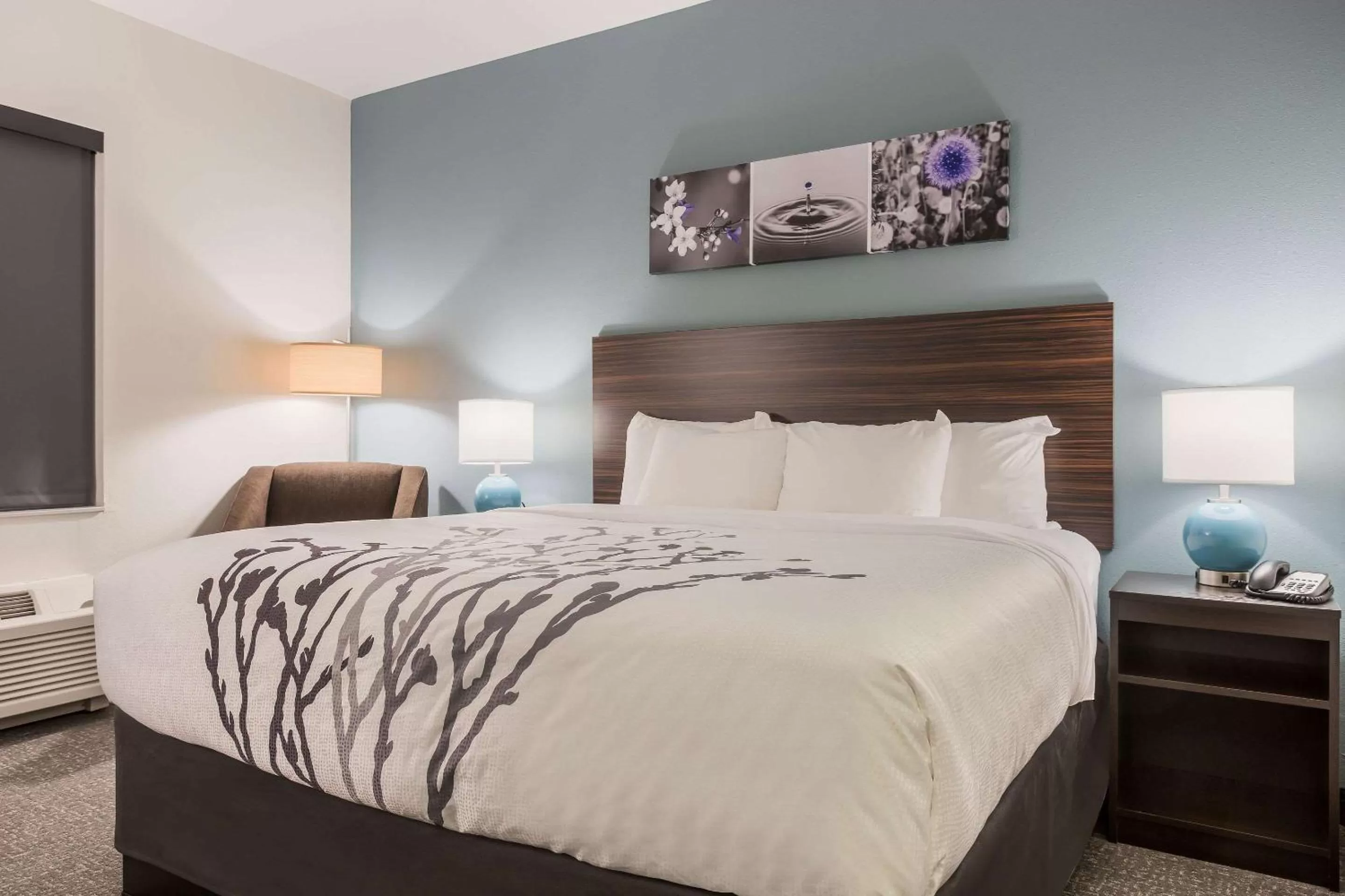 Standard King Room - Non Smoking in Sleep Inn & Suites Webb City