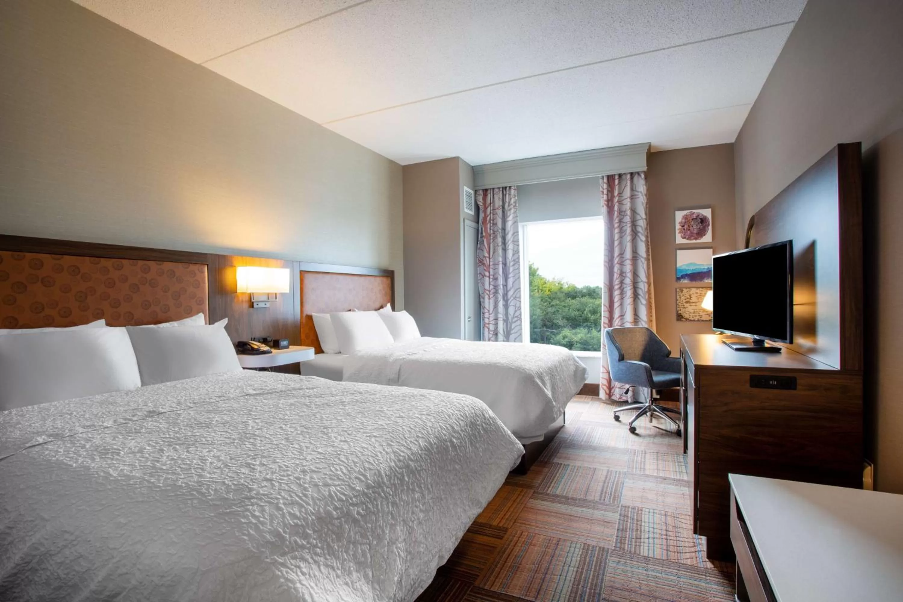 Queen Room with Two Queen Beds - Hearing Access/Non-Smoking in Hampton Inn Watertown