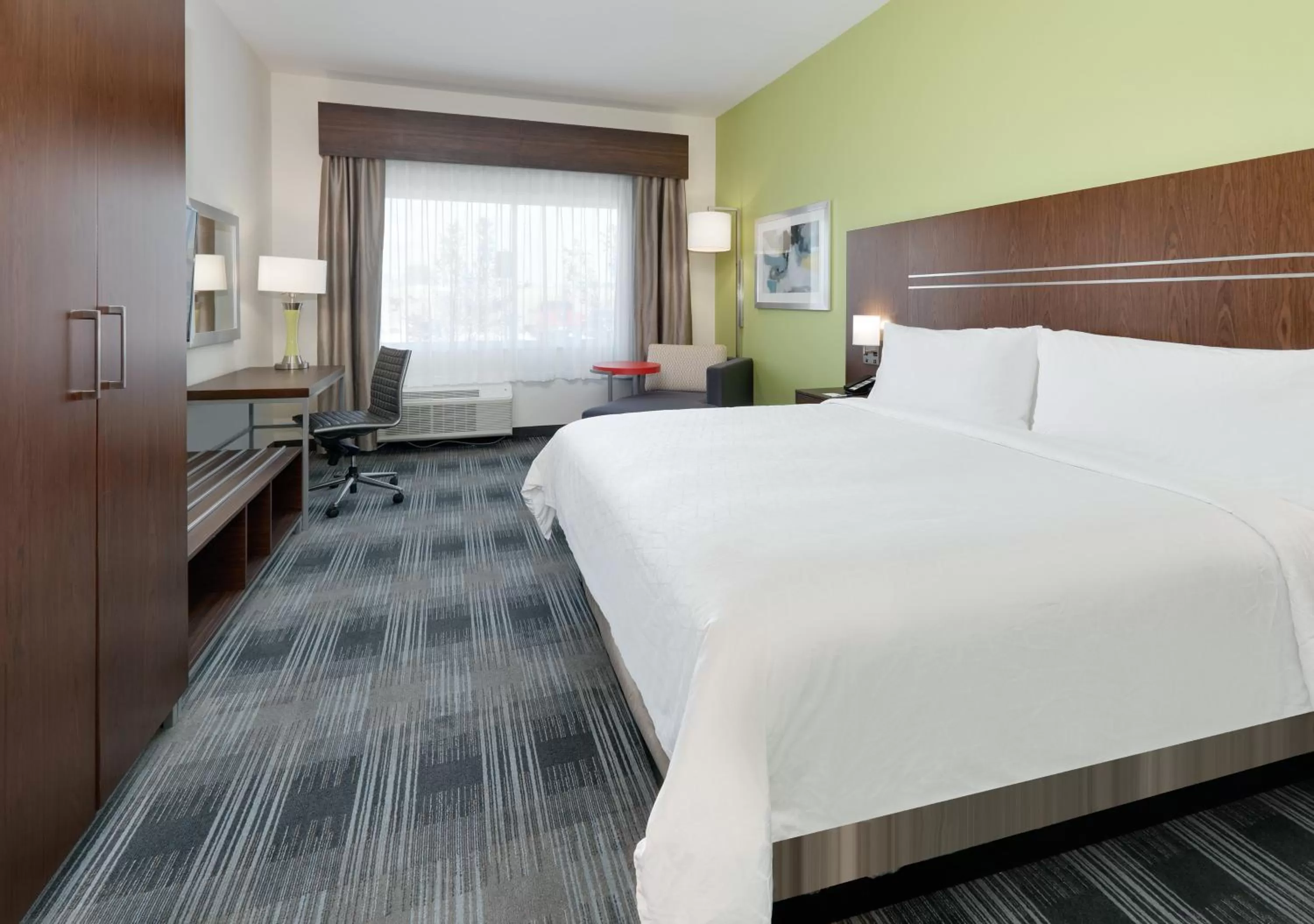 Standard King Room in Holiday Inn Express & Suites Dallas NW - Farmers Branch by IHG