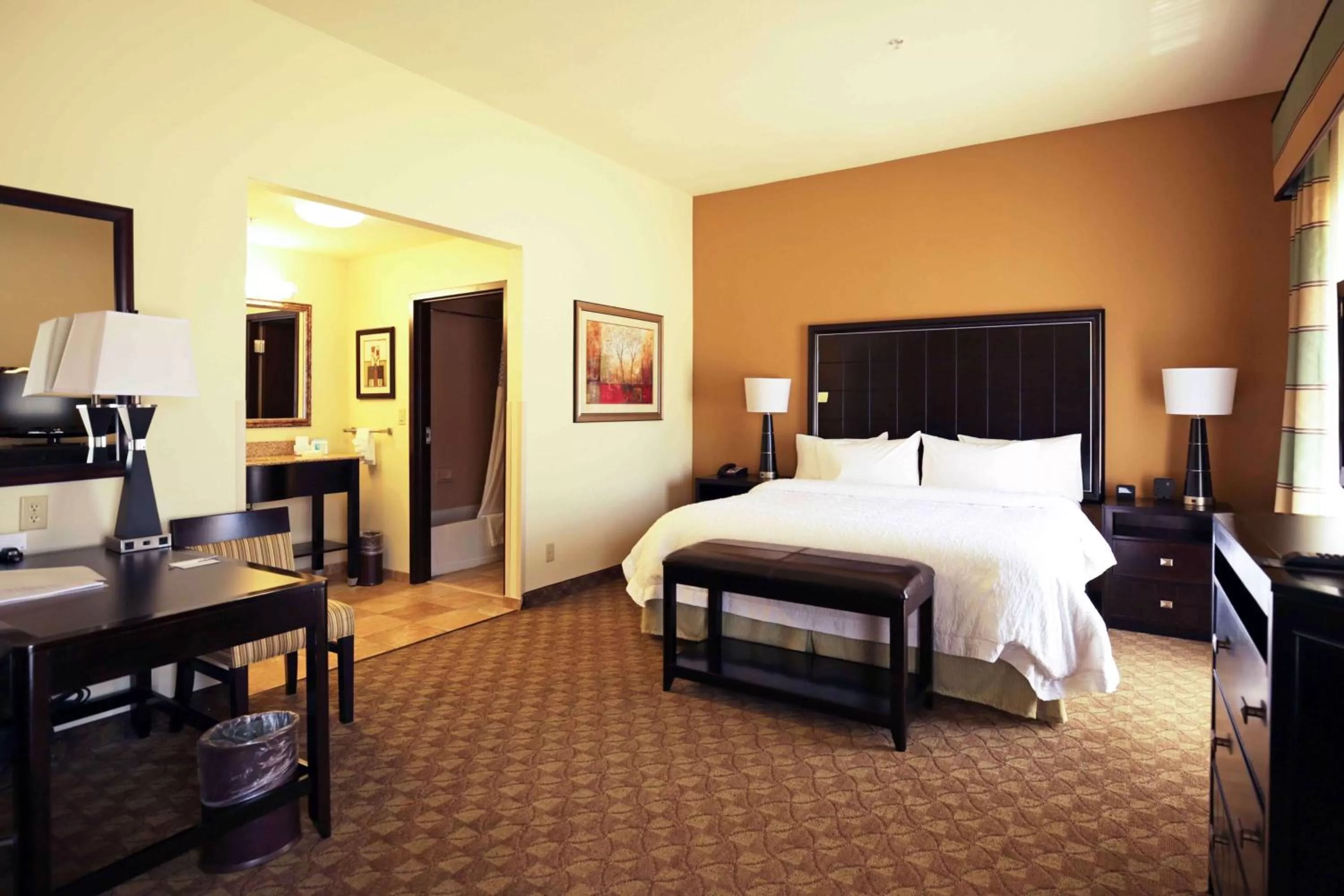 King Studio Suite - Non-Smoking in Hampton Inn & Suites McAlester
