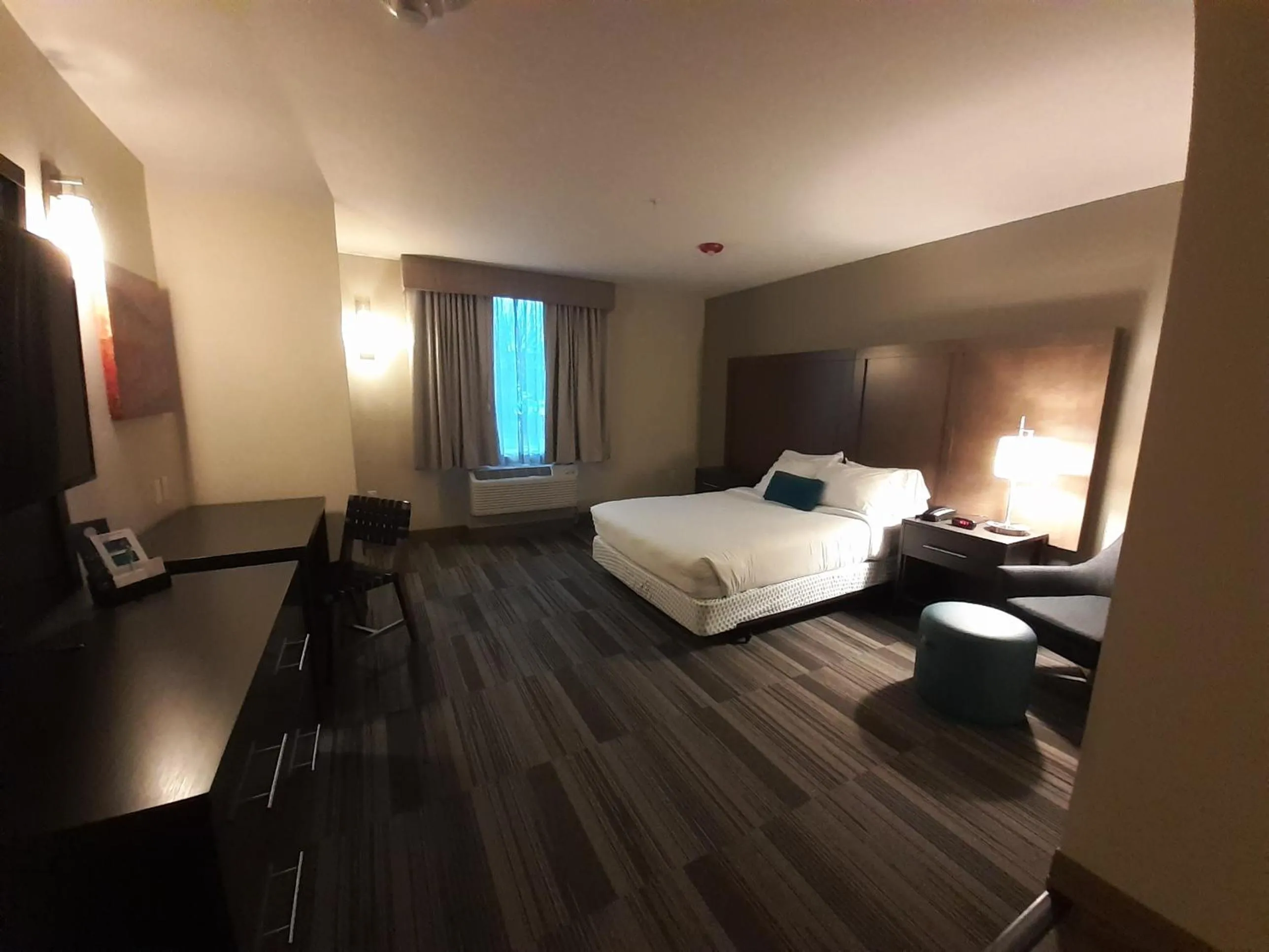 Single Queen ADA roll-in shower - single occupancy in Simple Suites Boise Airport