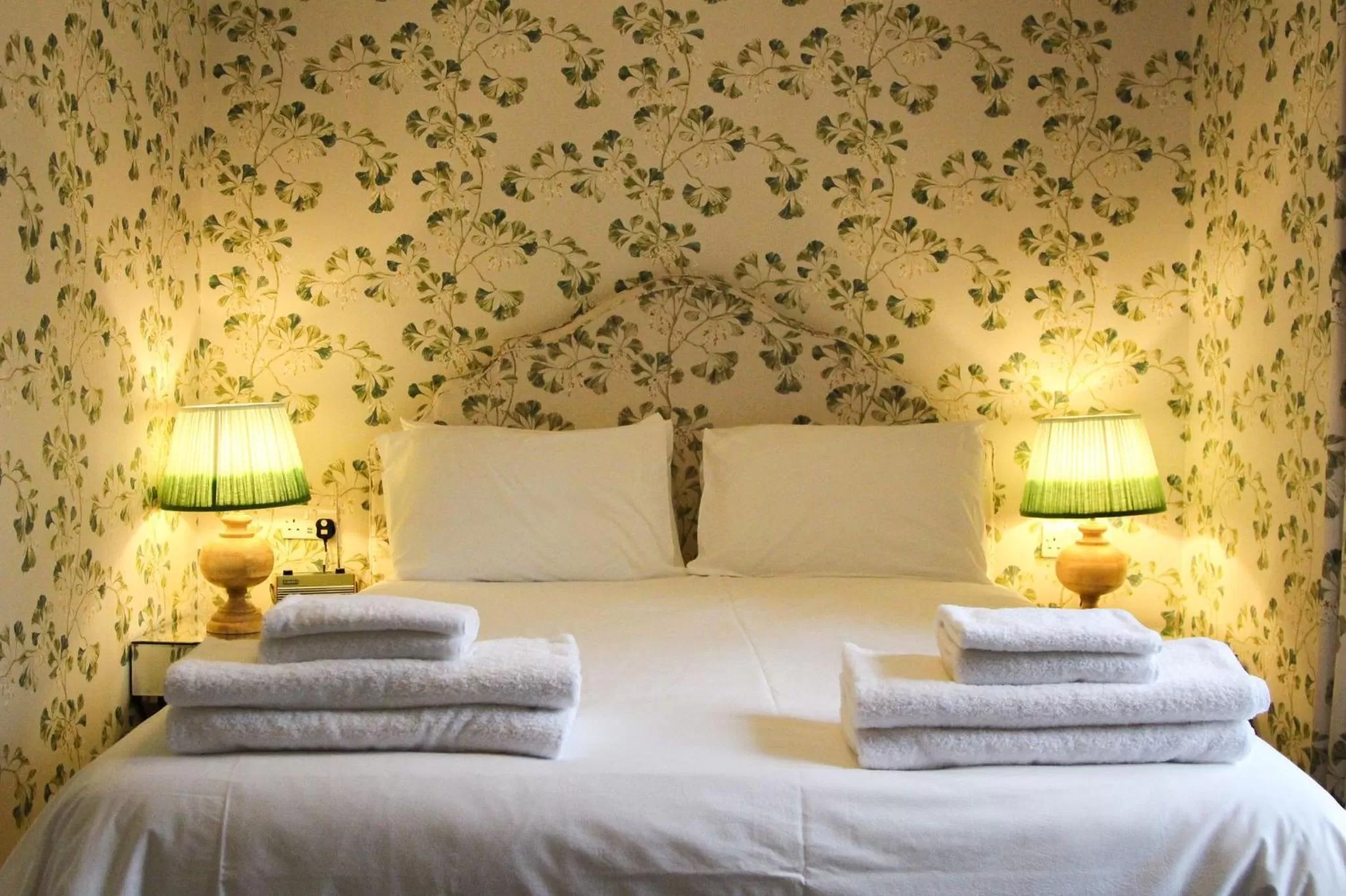 Double Room in The Queens Arms