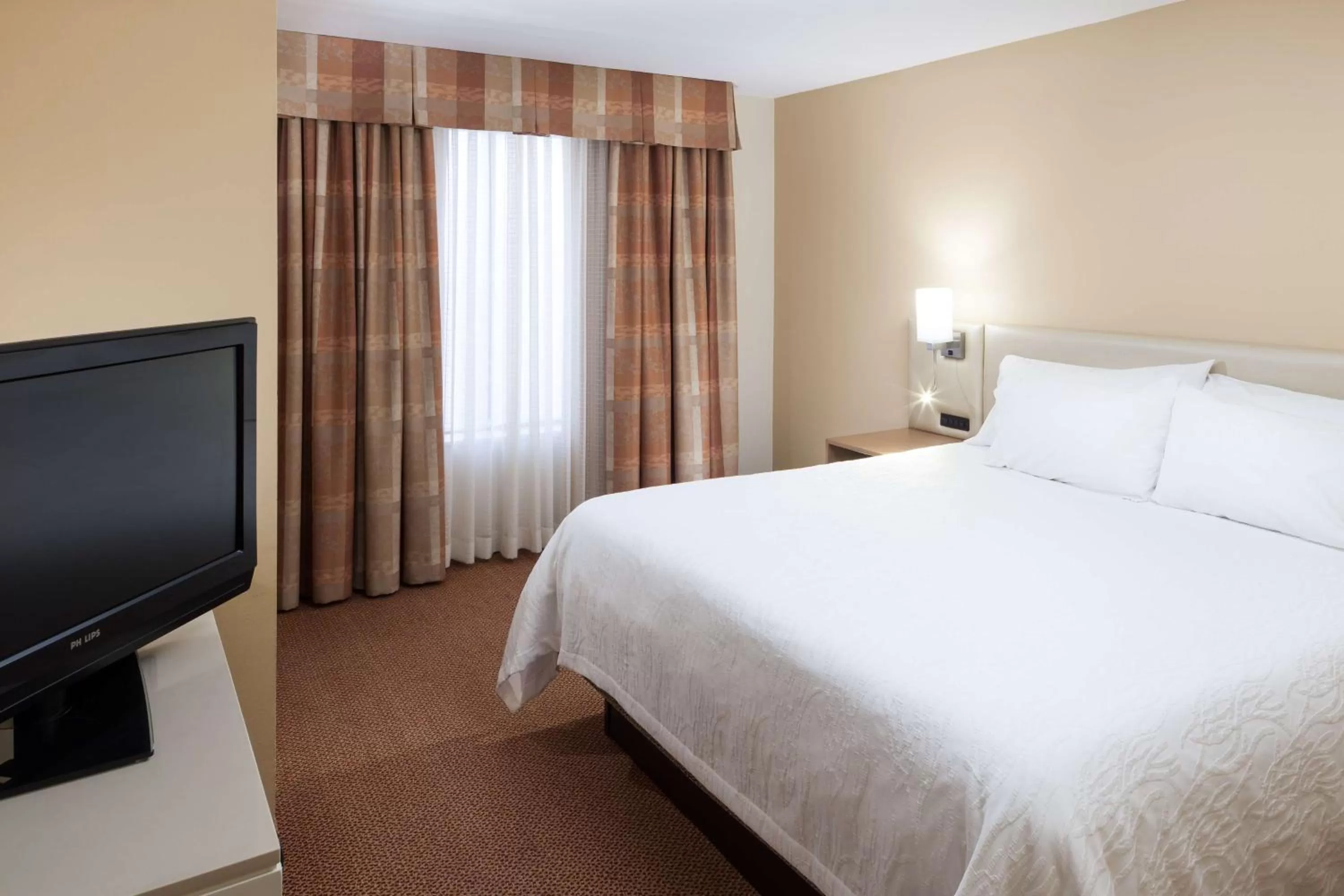 One-Bedroom King Suite with Sofa Bed in Hilton Garden Inn McAllen Airport