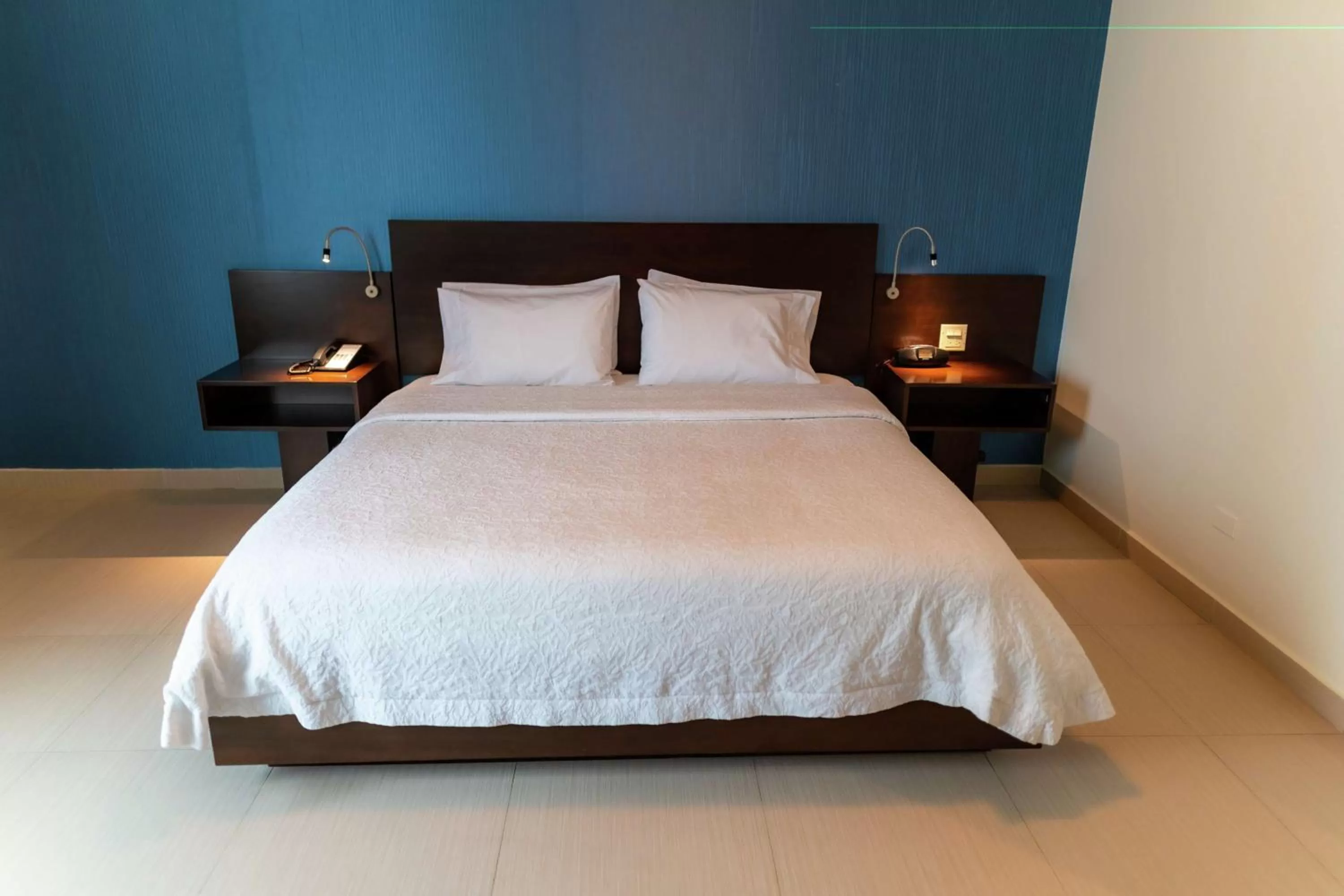 King Room with Roll-In Shower - Disability Access in Hampton by Hilton Panama