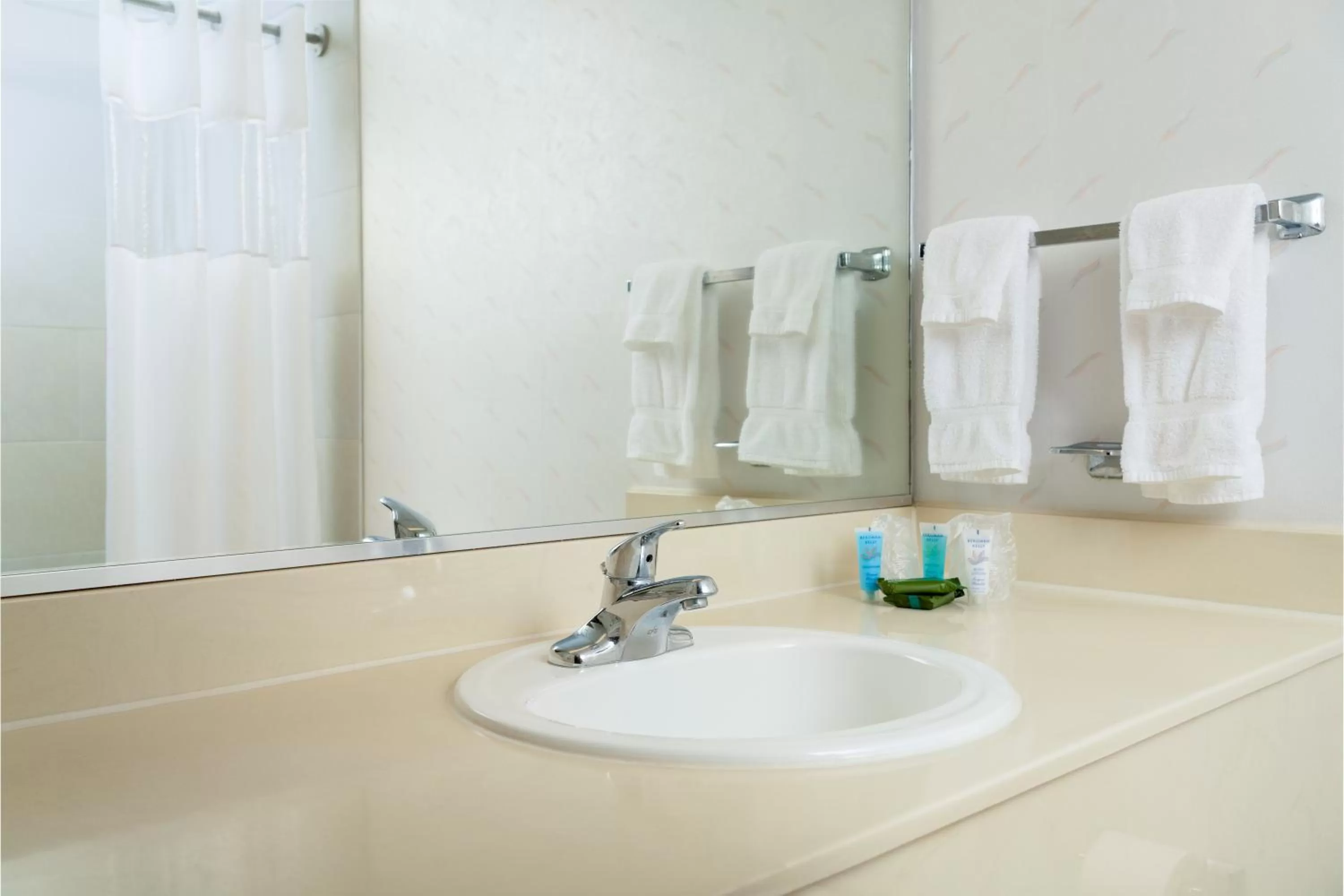 King Room - Disability Access in MCM Eleganté Hotel & Conference Center