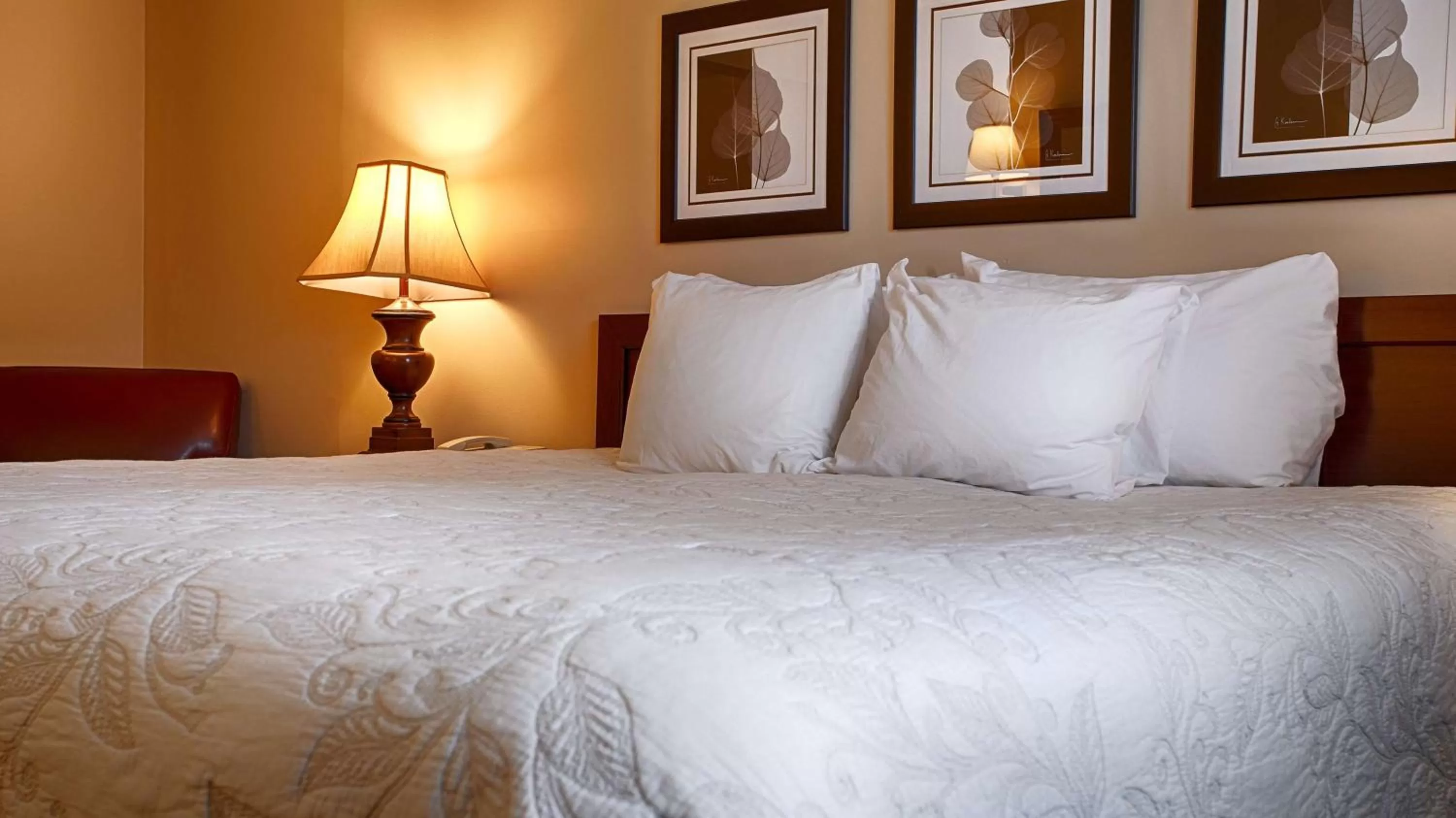 King Room - Non-Smoking in Silver Fox Inn