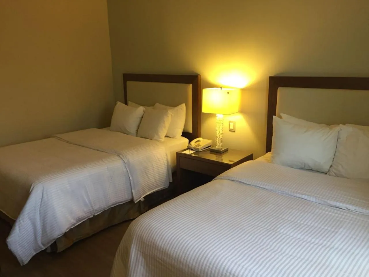Superior Double Room with Two Double Beds in Antaris Valle