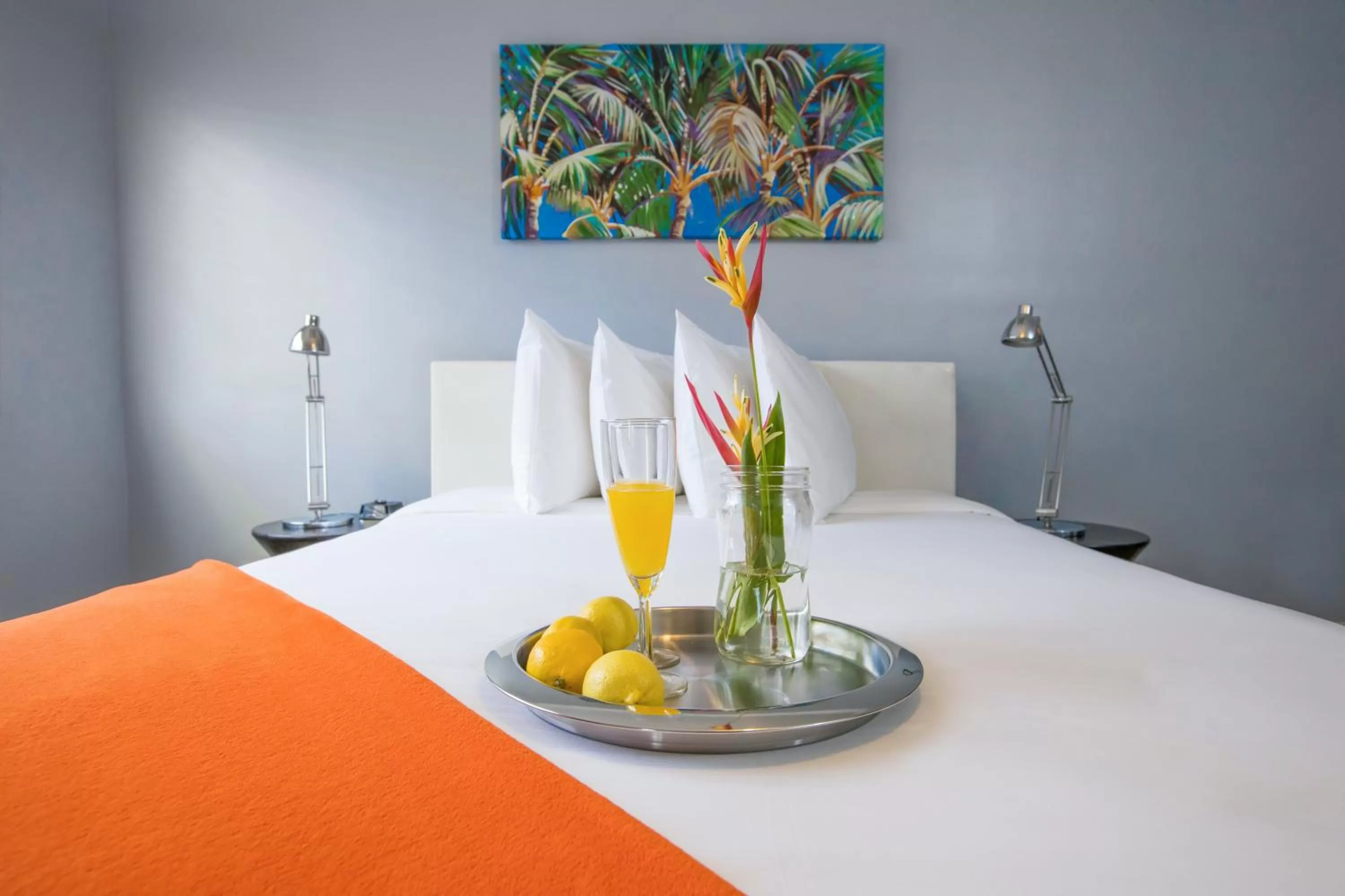 Hollywood Beach Suites and Hotel