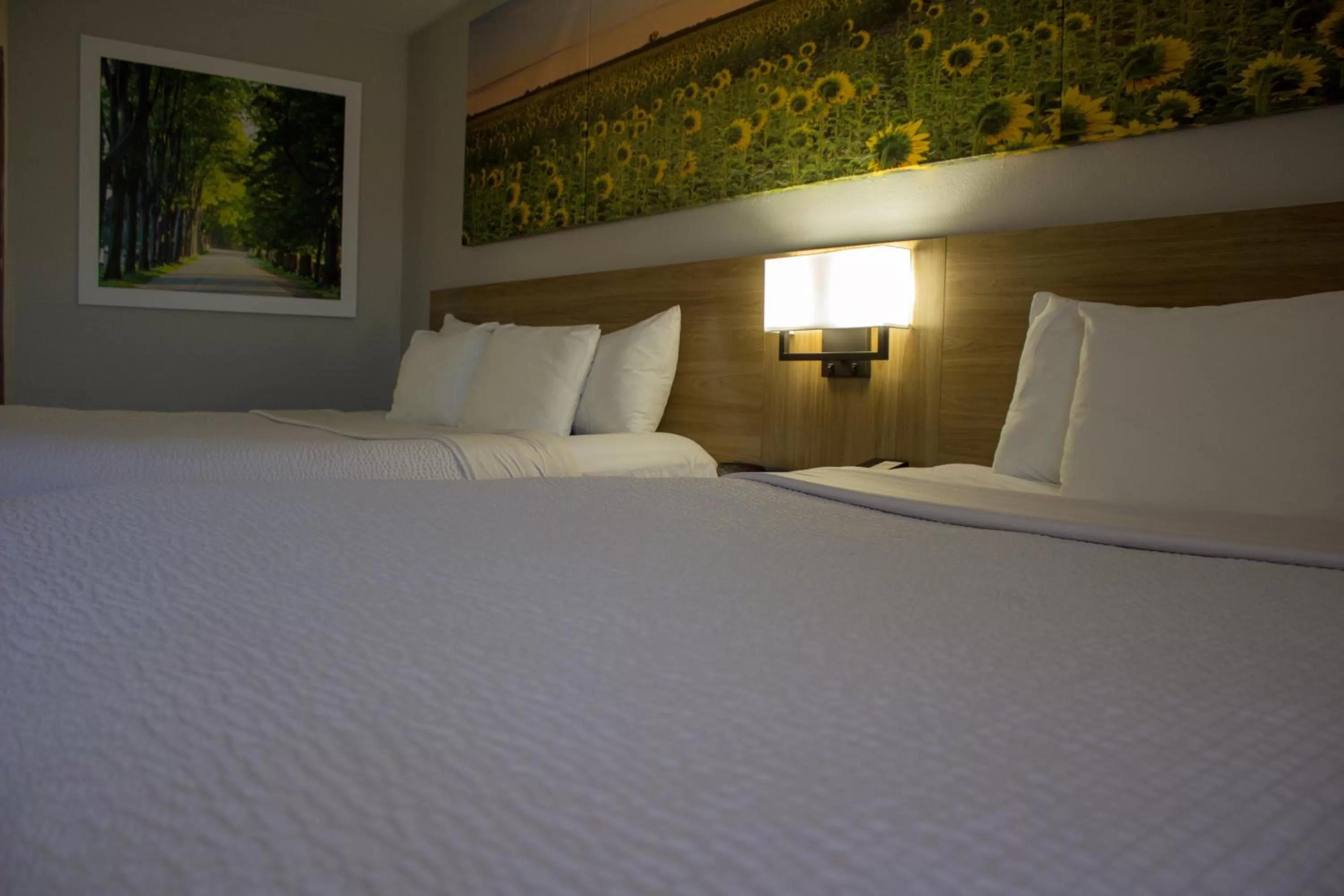 Deluxe King Suite in Days Inn by Wyndham Colby