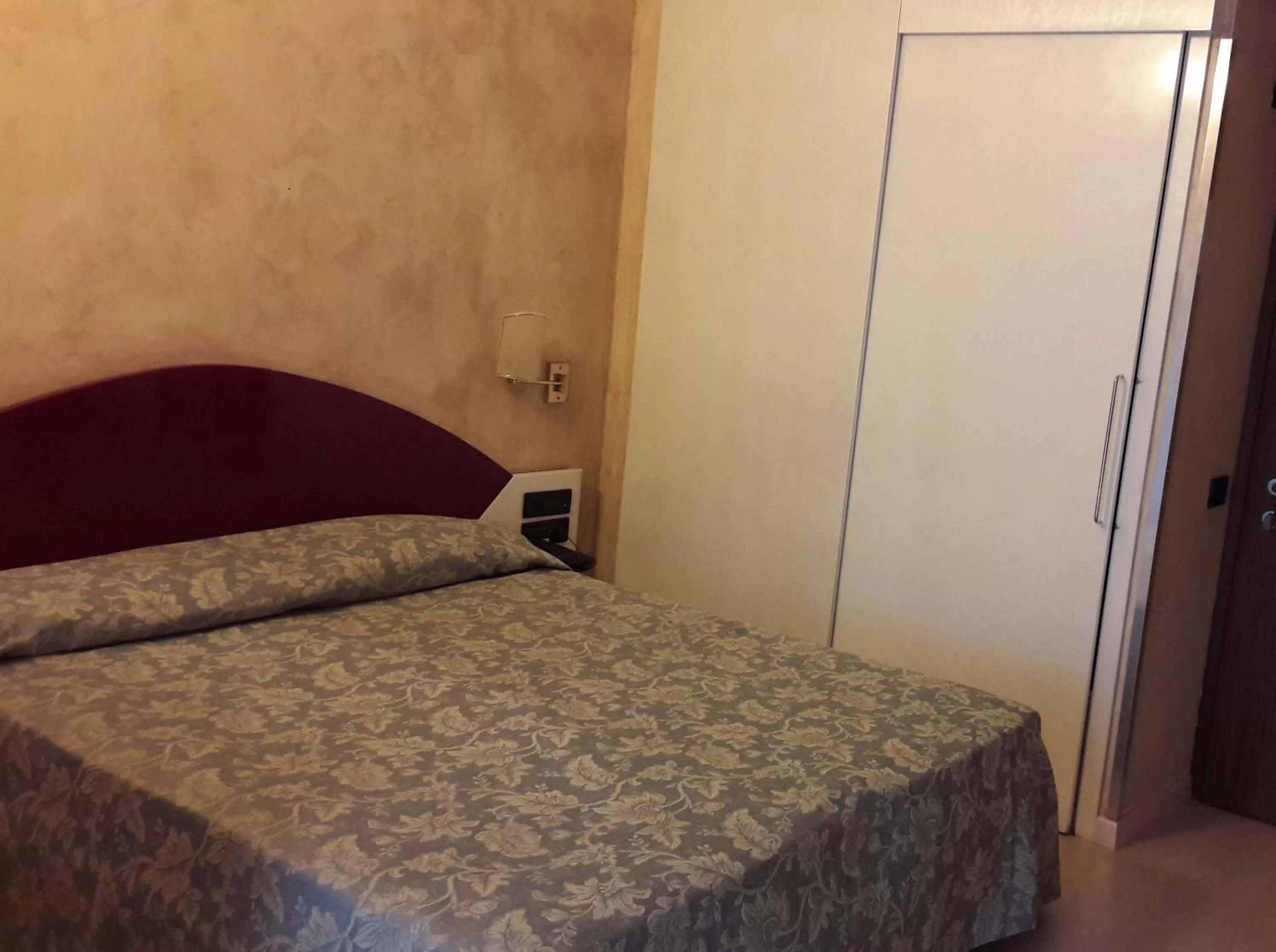 Double Room (1 Adult) in Hotel Continental