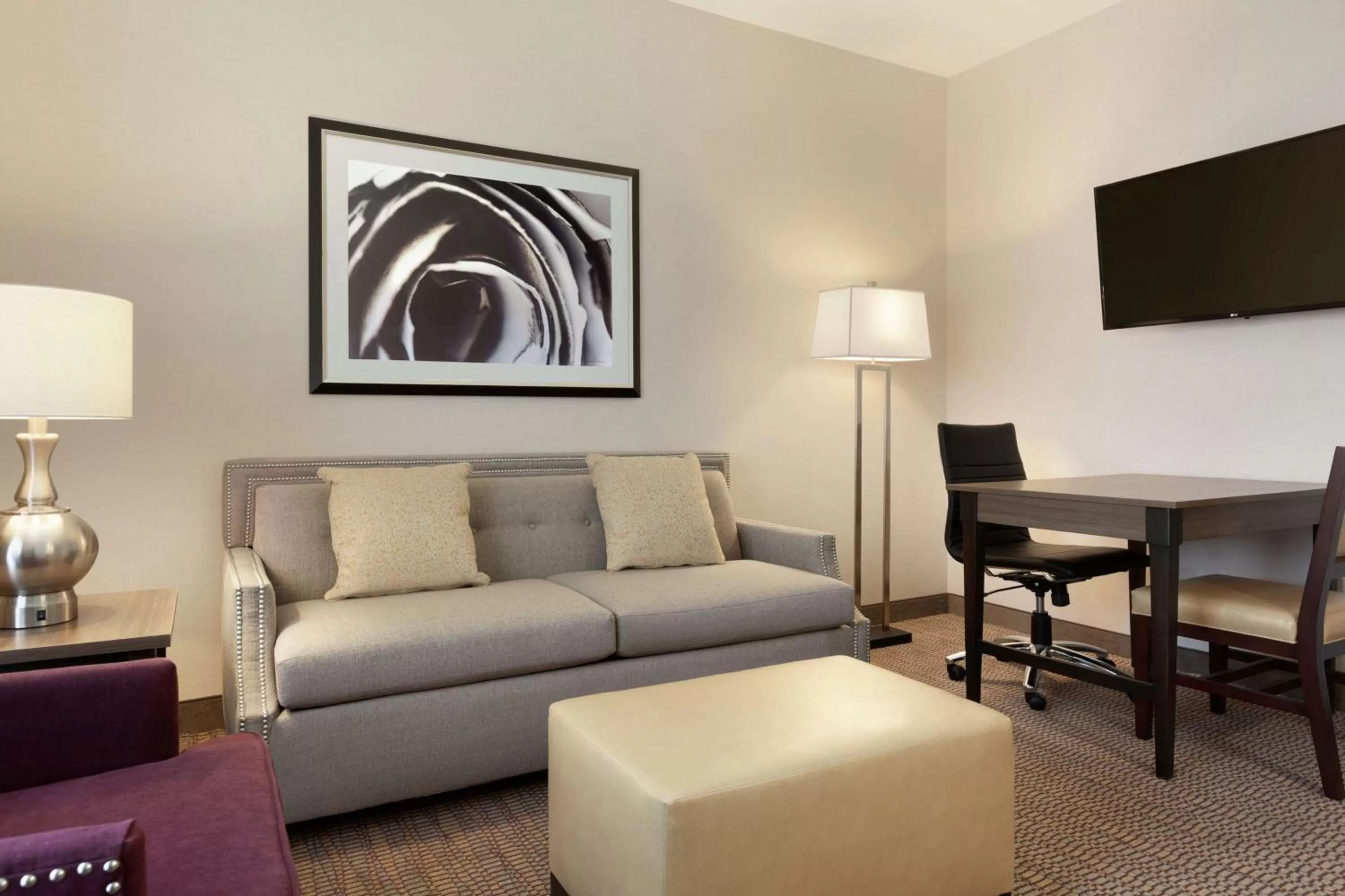 One-Bedroom Queen Suite with Accessible Tub - Mobility Access/Non-Smoking in Embassy Suites by Hilton Temecula Valley Wine Country