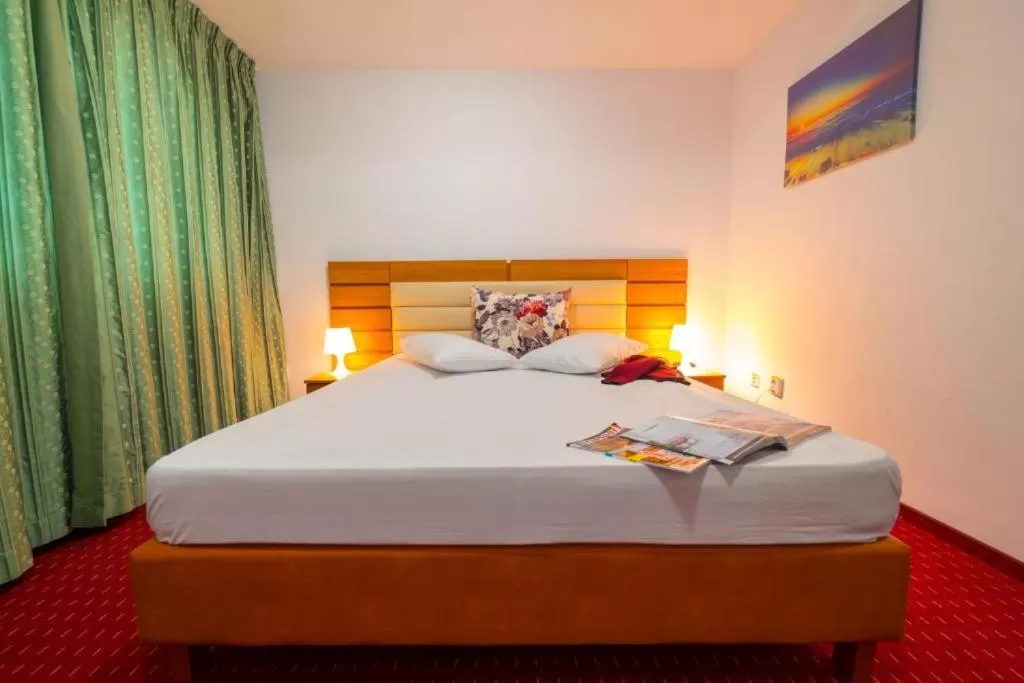 Deluxe Double Room in Hotel Sir Orhideea