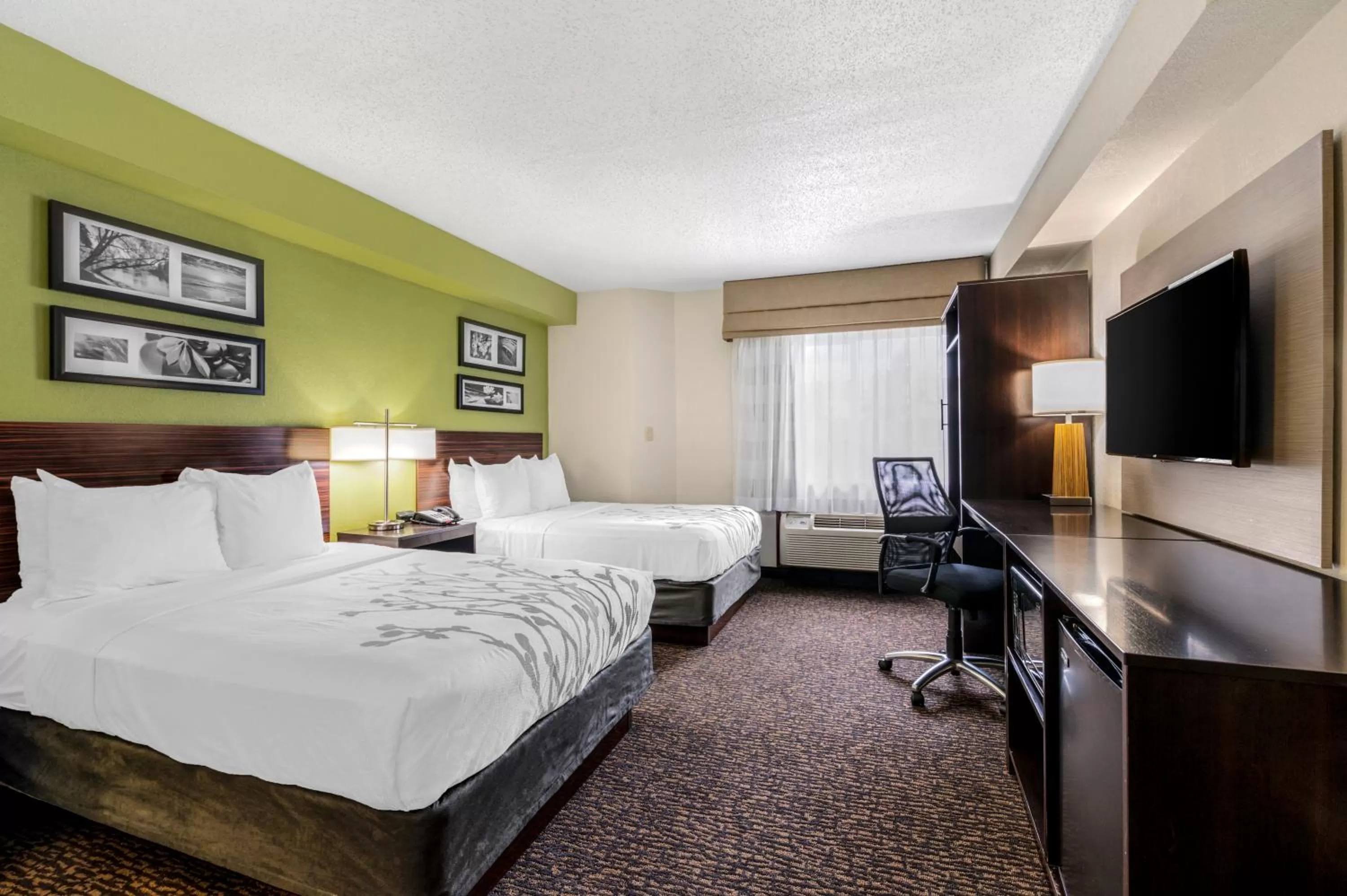 Double Room with Two Double Beds - Accessible/Non-Smoking in Sleep Inn Naperville - Chicago