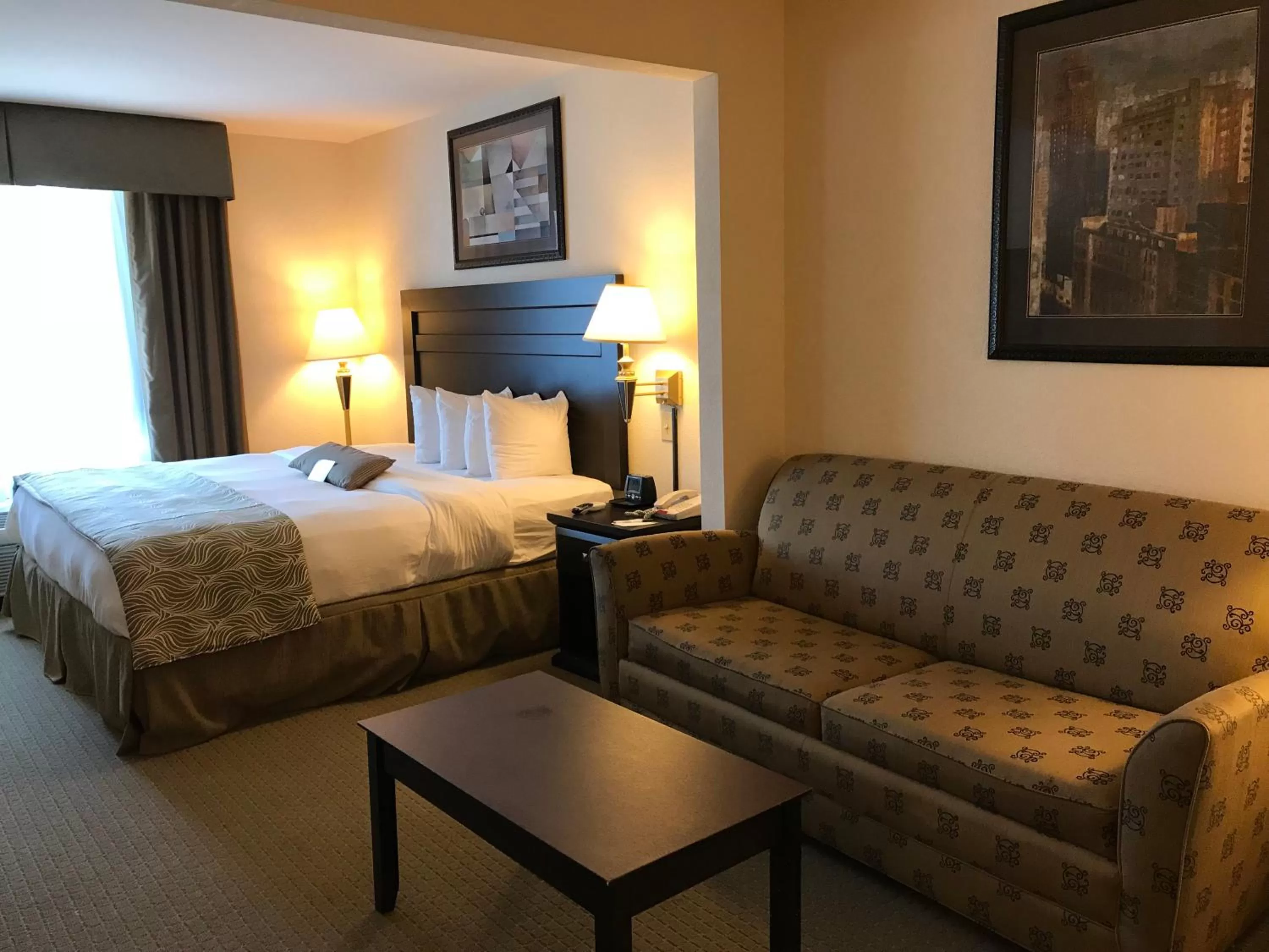 One King with Sleeper Sofa-Non Smoking in Wingate by Wyndham LaGrange