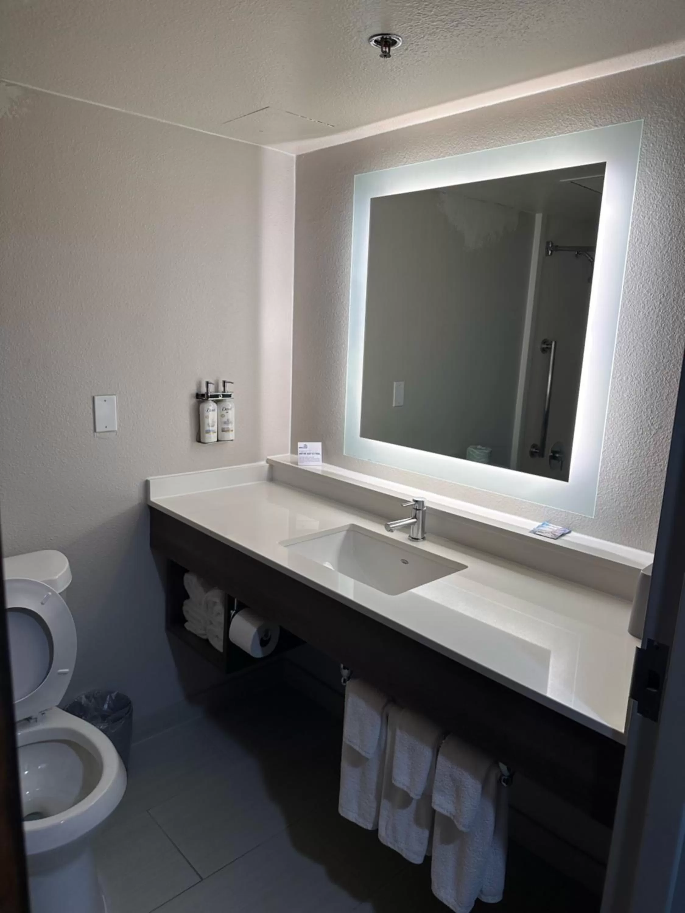 Holiday Inn Express Hotel and Suites Mesquite, an IHG Hotel