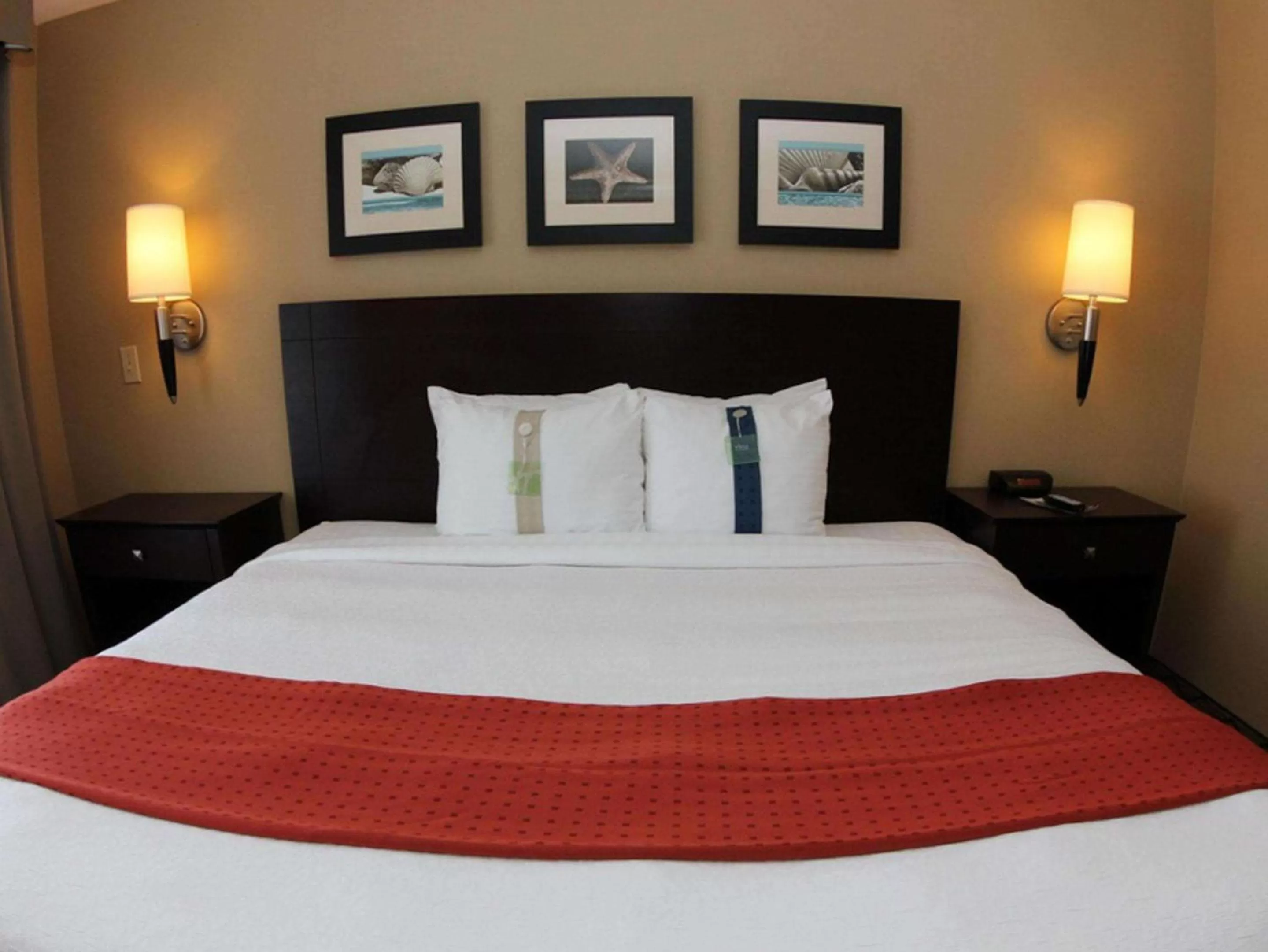 Deluxe King Room - Non-Smoking in The Volare, an Ascend Collection Hotel