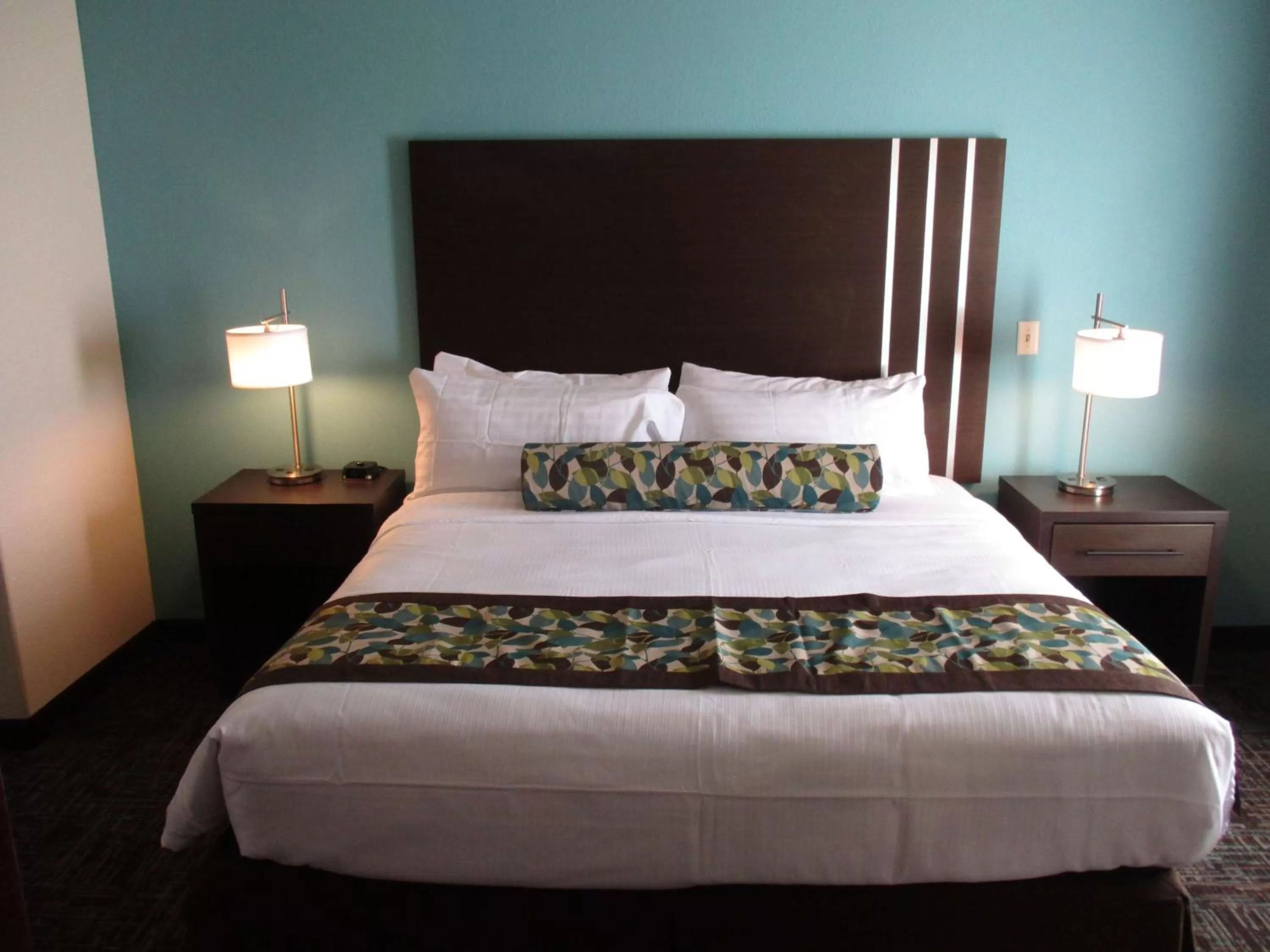 King Room with Roll-in Shower - Disability Access/Non-Smoking in Best Western Plus/Executive Residency Elk City