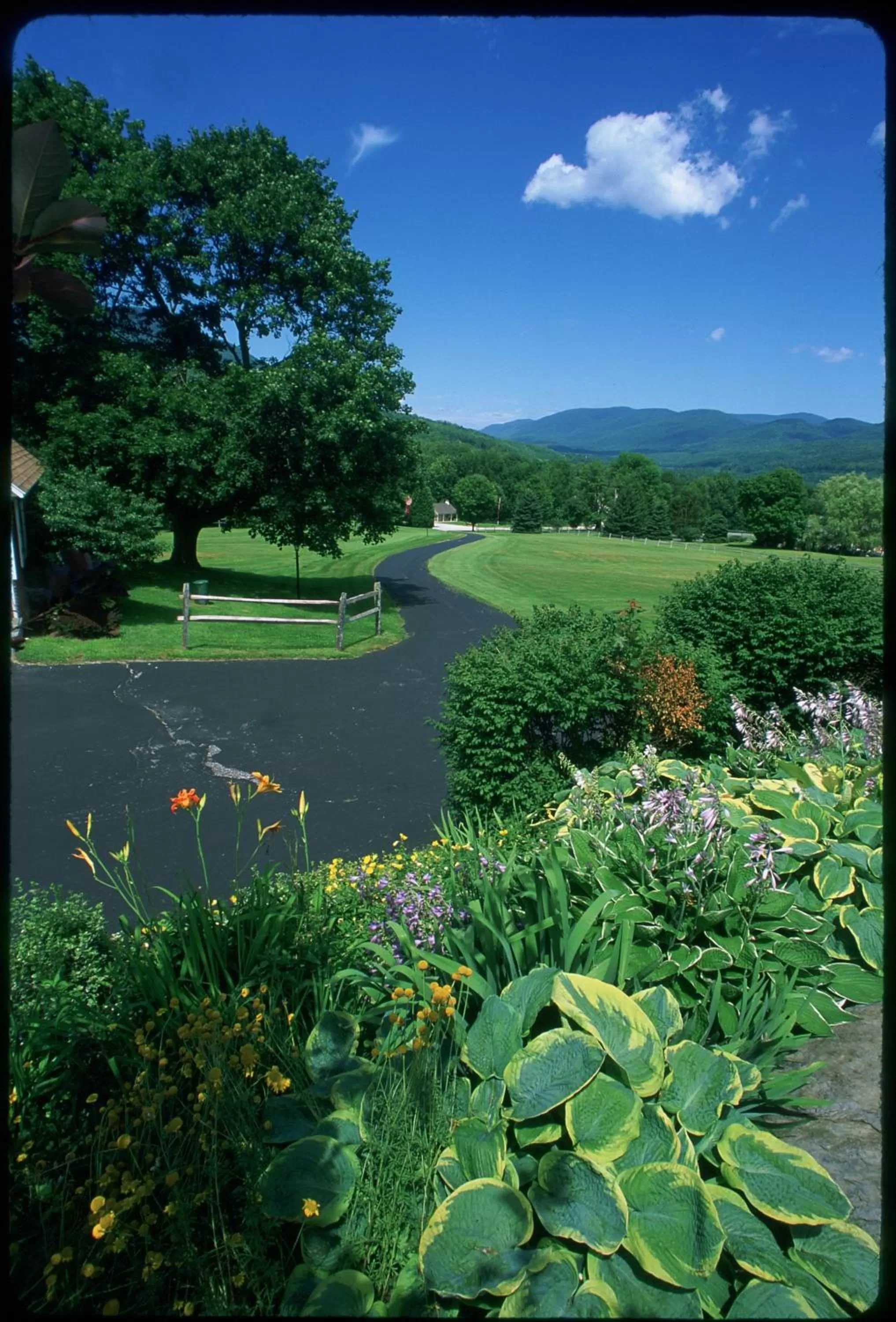 Deluxe King Room in Manchester View