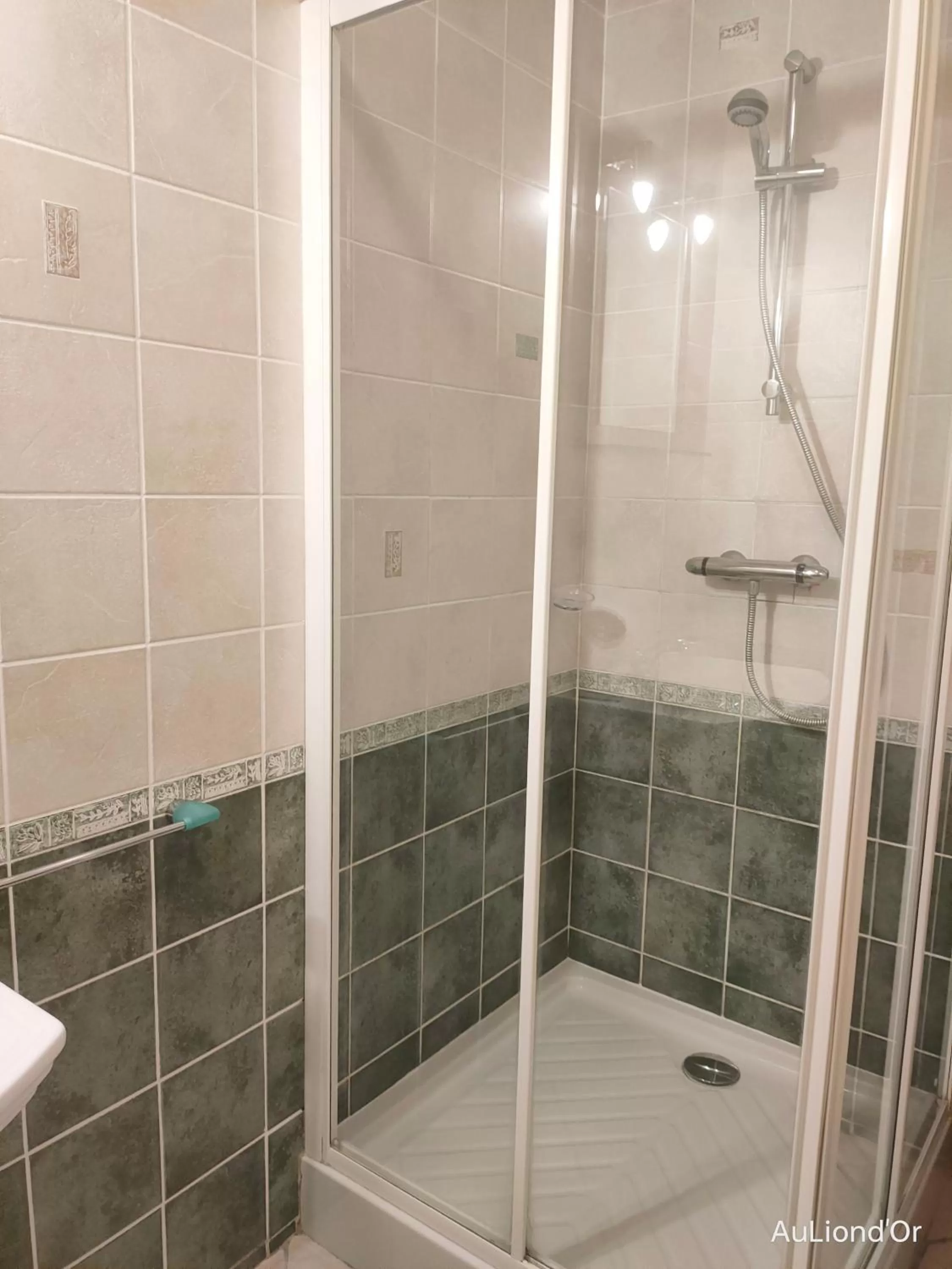 Standard Twin Room - single occupancy in Le Royal Hôtel