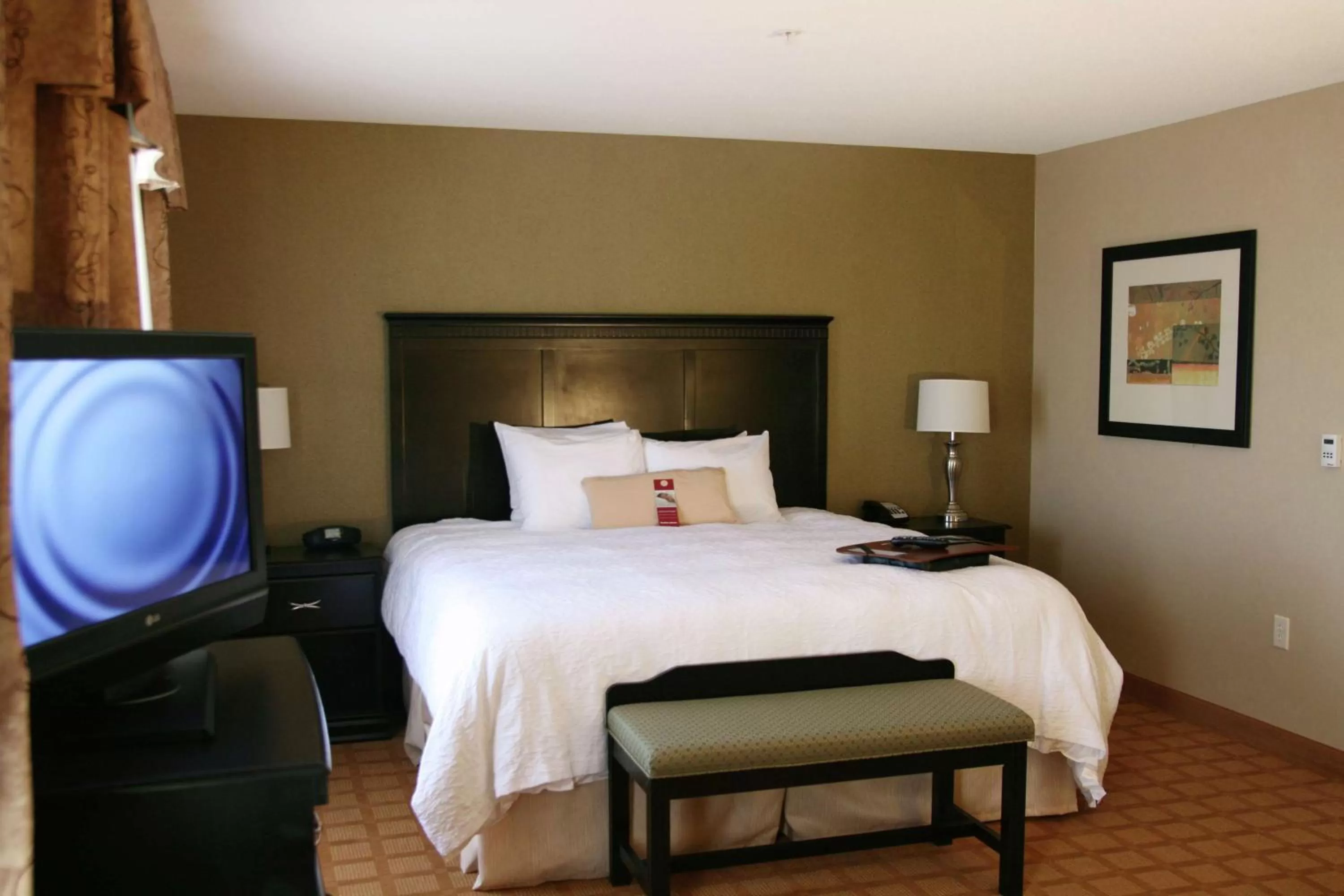 King Room with Sofa Bed - Hearing Accessible/Non-Smoking in Hampton Inn & Suites Chicago/Saint Charles