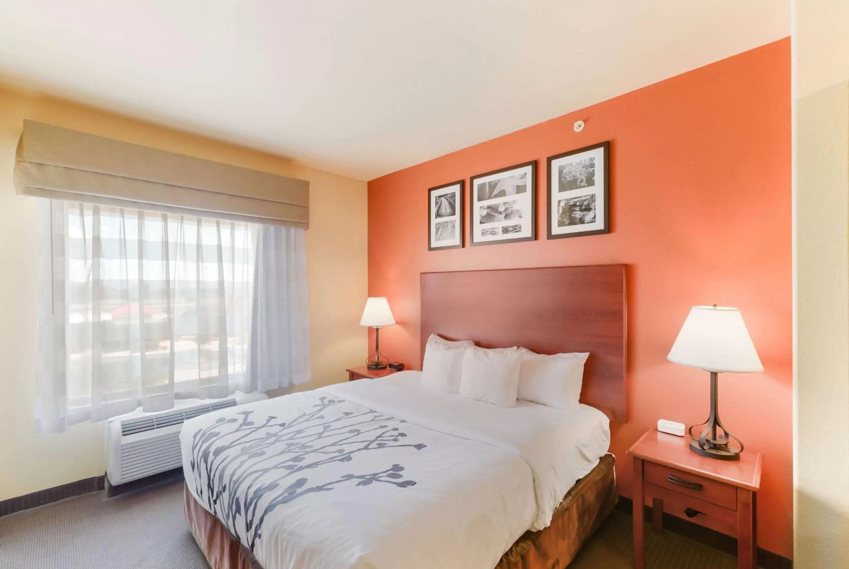 Queen Room - Accessible/Nonsmoking in Sleep Inn & Suites Midland West