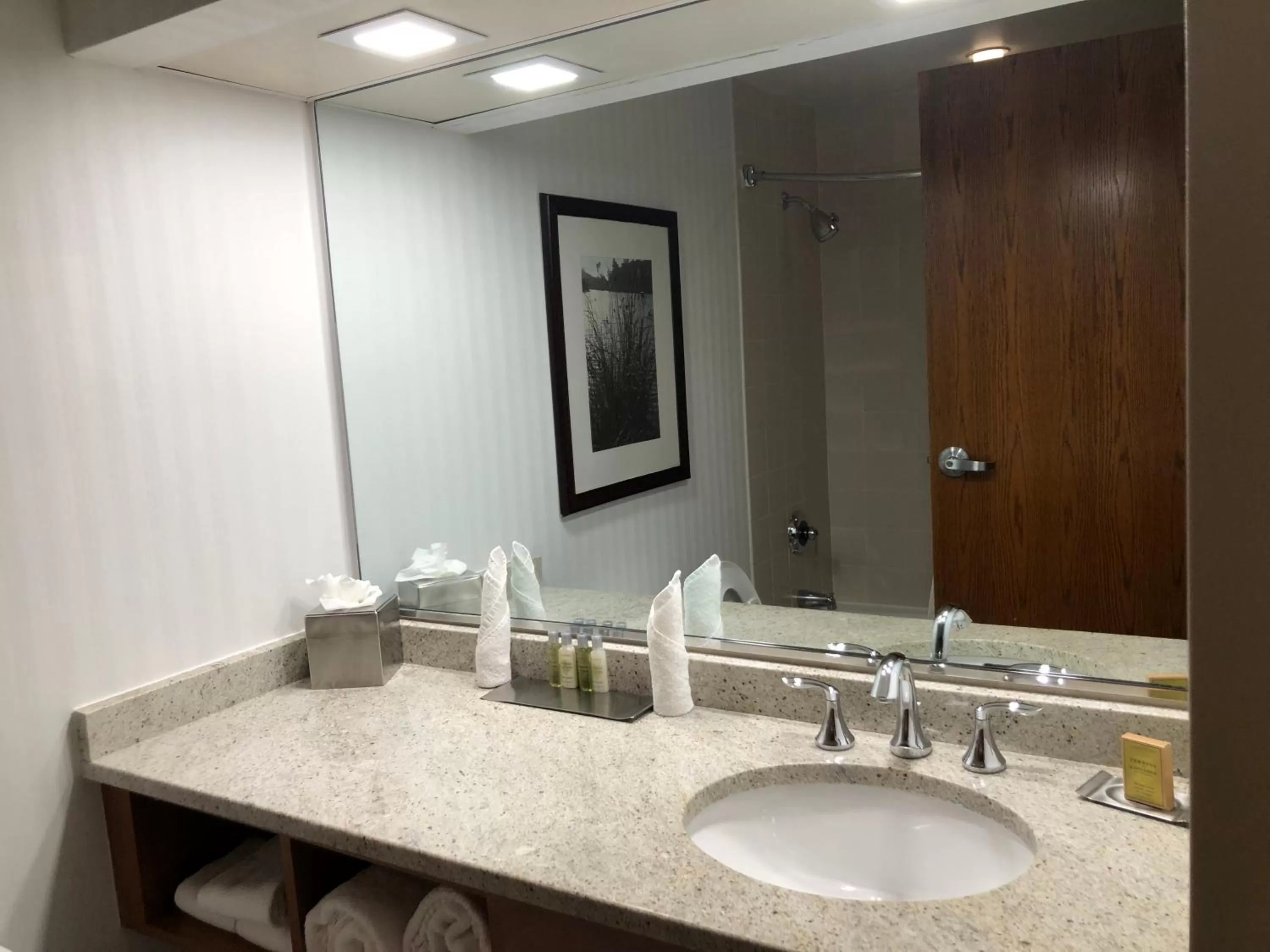 King Room - Non-Smoking in Wyndham Garden Buffalo Downtown