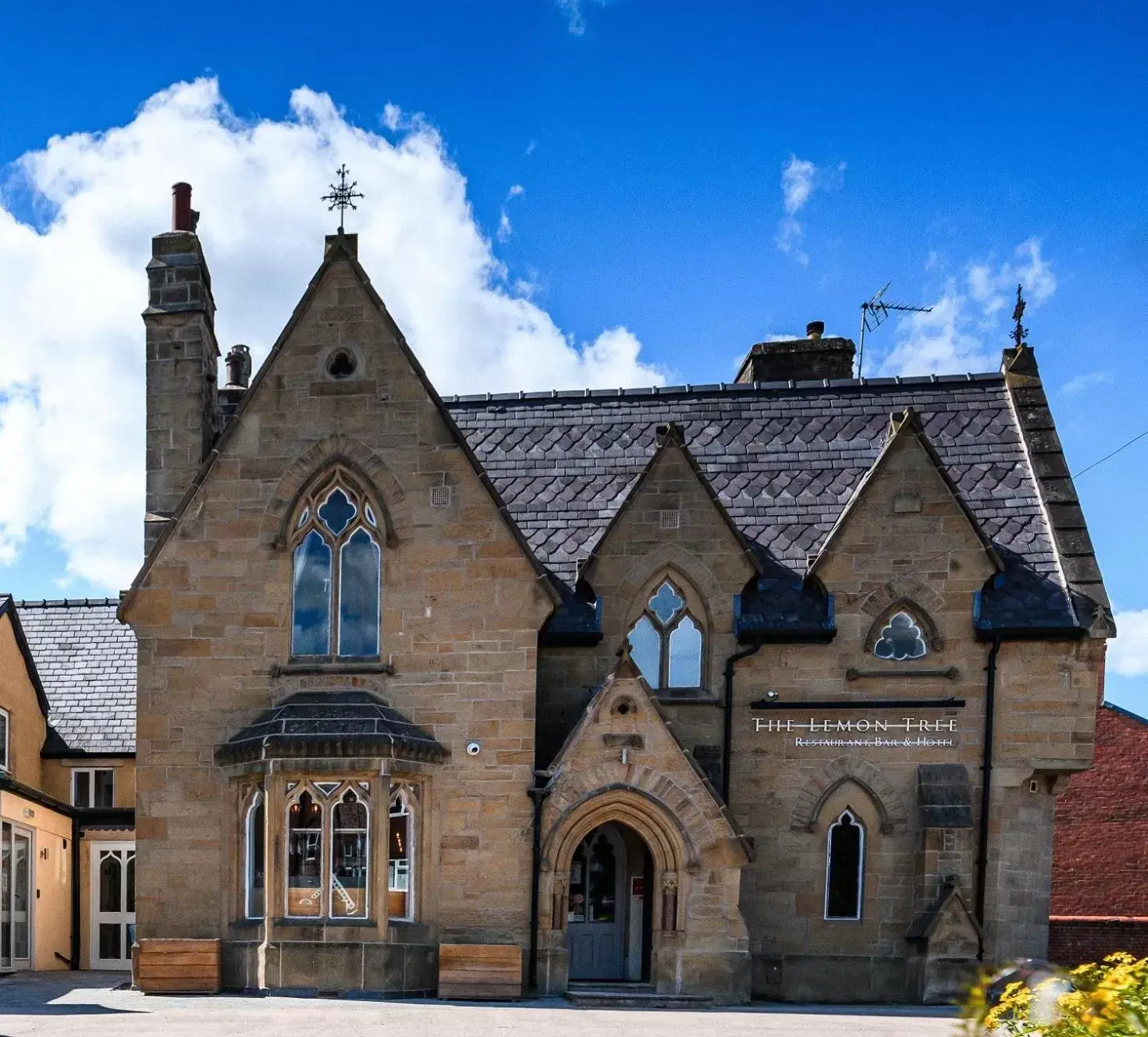 The Lemon Tree The Lemon Tree