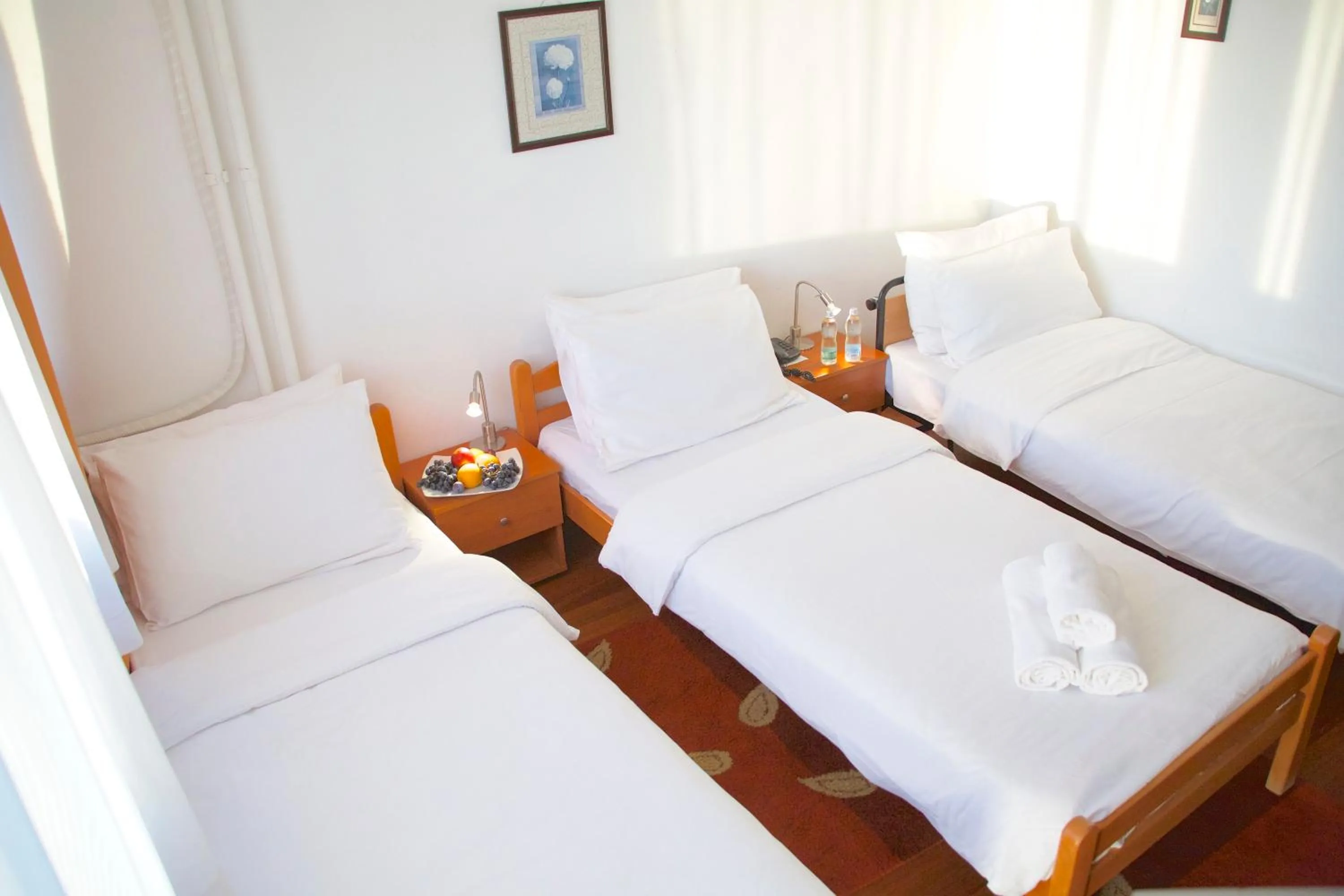 Standard Triple Room with Free Parking in Hotel Srbija-FREE PARKING