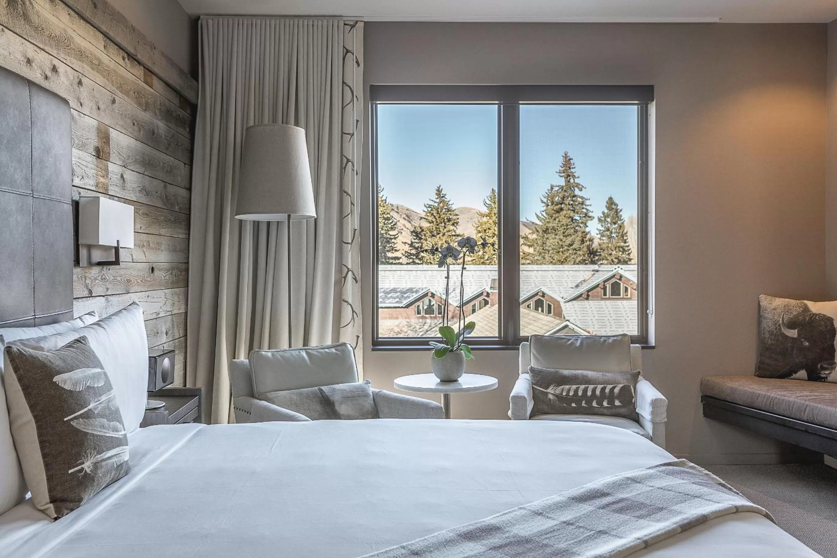 Superior King with View Room - single occupancy in Hotel Jackson