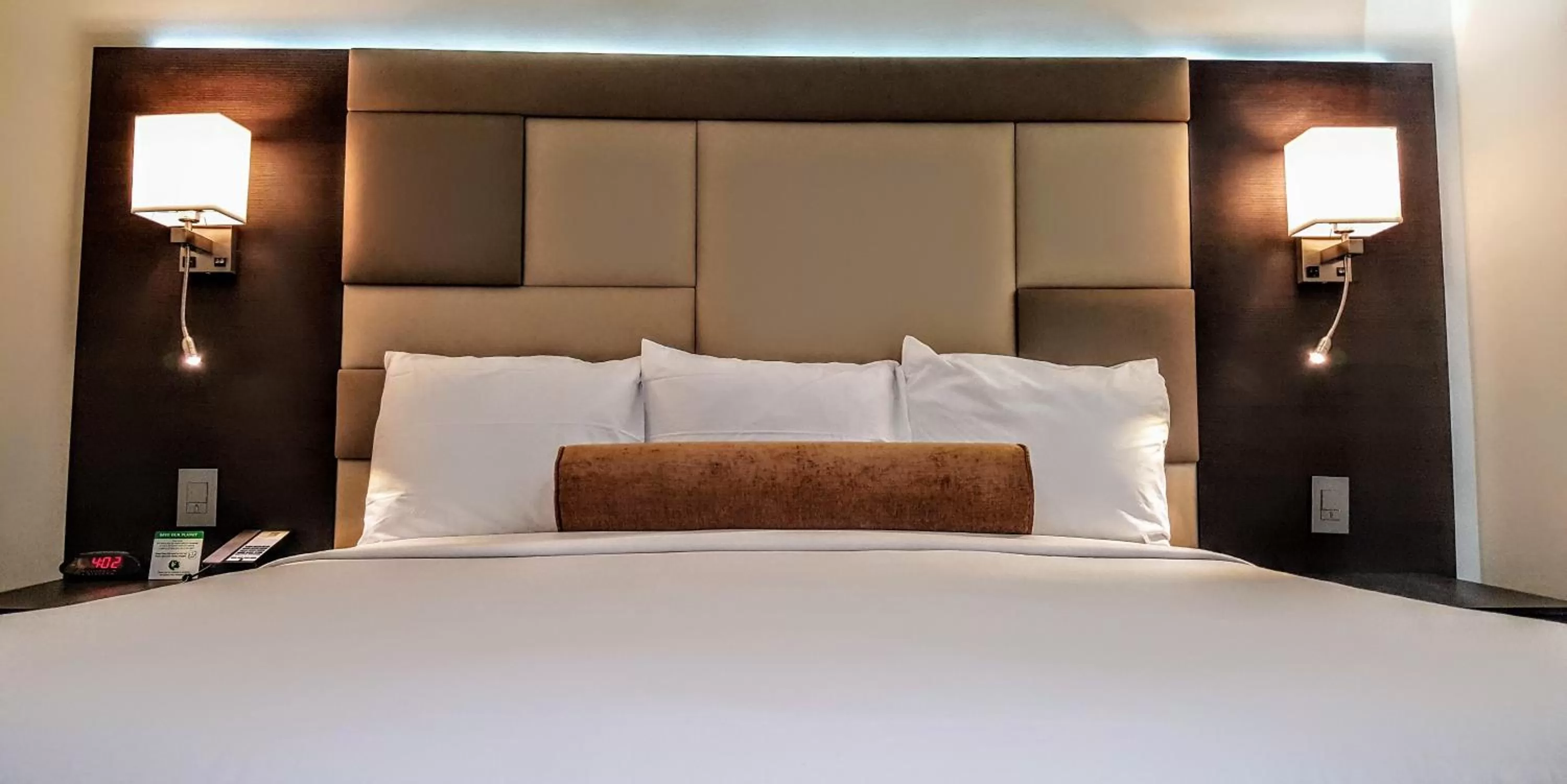 Suite with Pool View in Hotel Xilo Glendale